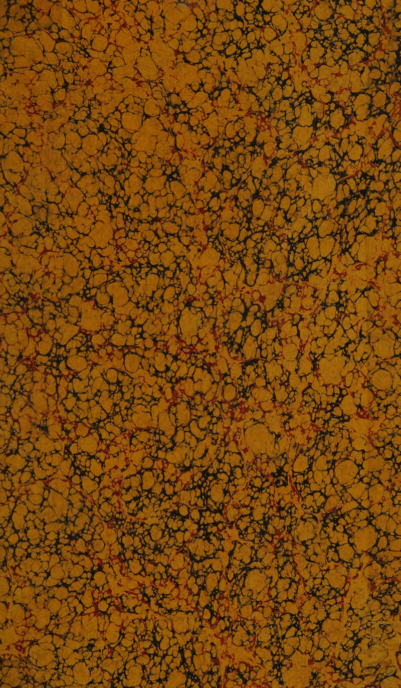 RE . e Yes LE À T ee” Le. >» # A en