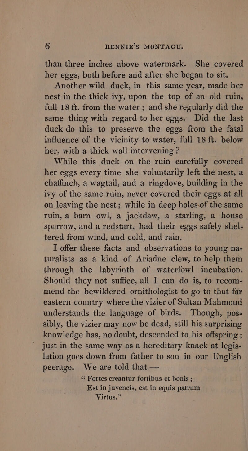 than three inches above watermark. She covered her eggs, both before and after she began to sit. Another wild duck, in this same year, made her nest in the thick ivy, upon the top of an old ruin, full 18 ft. from the water ; and she regularly did the same thing with regard to her eggs. Did the last duck do this to preserve the eggs from the fatal influence of the vicinity to water, full 18 ft. below her, with a thick wall intervening ? While this duck on the ruin carefully covered her eggs every time she voluntarily left the nest, a chaffinch, a wagtail, and a ringdove, building in the ivy of the same ruin, never covered their eggs at all on leaving the nest; while in deep holes-of the same ruin, a barn owl, a jackdaw, a starling, a house sparrow, and a redstart, had their eggs safely shel- tered from wind, and cold, and rain. I offer these facts and observations to young na- turalists as a kind of Ariadne clew, to help them through the labyrinth of waterfowl incubation. Should they not suffice, all I can do is, to recom- mend the bewildered ornithologist to go to that far eastern country where the vizier of Sultan Mahmoud understands the language of birds. Though, pos- sibly, the vizier may now be dead, still his surprising knowledge has, no doubt, descended to his offspring ; just in the same way as a hereditary knack at legis- lation goes down from father to son in our English peerage. We are told that — ‘¢ Fortes creantur fortibus et bonis ; Est in juvencis, est in equis patrum Virtus.”