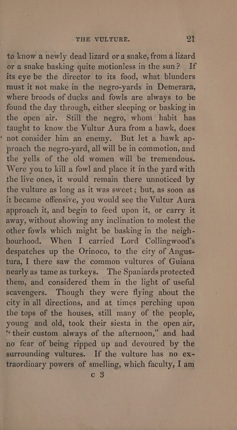 to know a newly dead lizard ora snake, from a lizard or a snake basking quite motionless in the sun? If its eye be the director to its food, what blunders must it not make in the negro-yards in Demerara, where broods of ducks and fowls are always to be found the day through, either sleeping or basking in the open air. Still the negro, whom habit has taught to know the Vultur Aura from a hawk, does not consider him an enemy. But Jet a hawk ap- proach the negro-yard, all will be in commotion, and the yells of the old women will be tremendous. Were you to kill a fowl and place it in the yard with the live ones, it would remain there unnoticed by the vulture as long as it was sweet; but, as soon as it became offensive, you would see the Vultur Aura approach it, and begin to feed upon it, or carry it away, without showing any inclination to molest the other fowls which might be basking in the neigh- bourhood. When I carried Lord Collingwood’s despatches up the Orinoco, to the city of Angus- tura, I there saw the common vultures of Guiana nearly as tame as turkeys. The Spaniards protected them, and considered them in the light of useful scavengers. Though they were flying about the city in all directions, and at times perching upon the tops of the houses, still many of the people, young and old, took their siesta in the open air, “their custom always of the afternoon,” and had no fear of being ripped up and devoured by the surrounding vultures. If the vulture has no ex- traordinary powers of smelling, which faculty, I am c 3