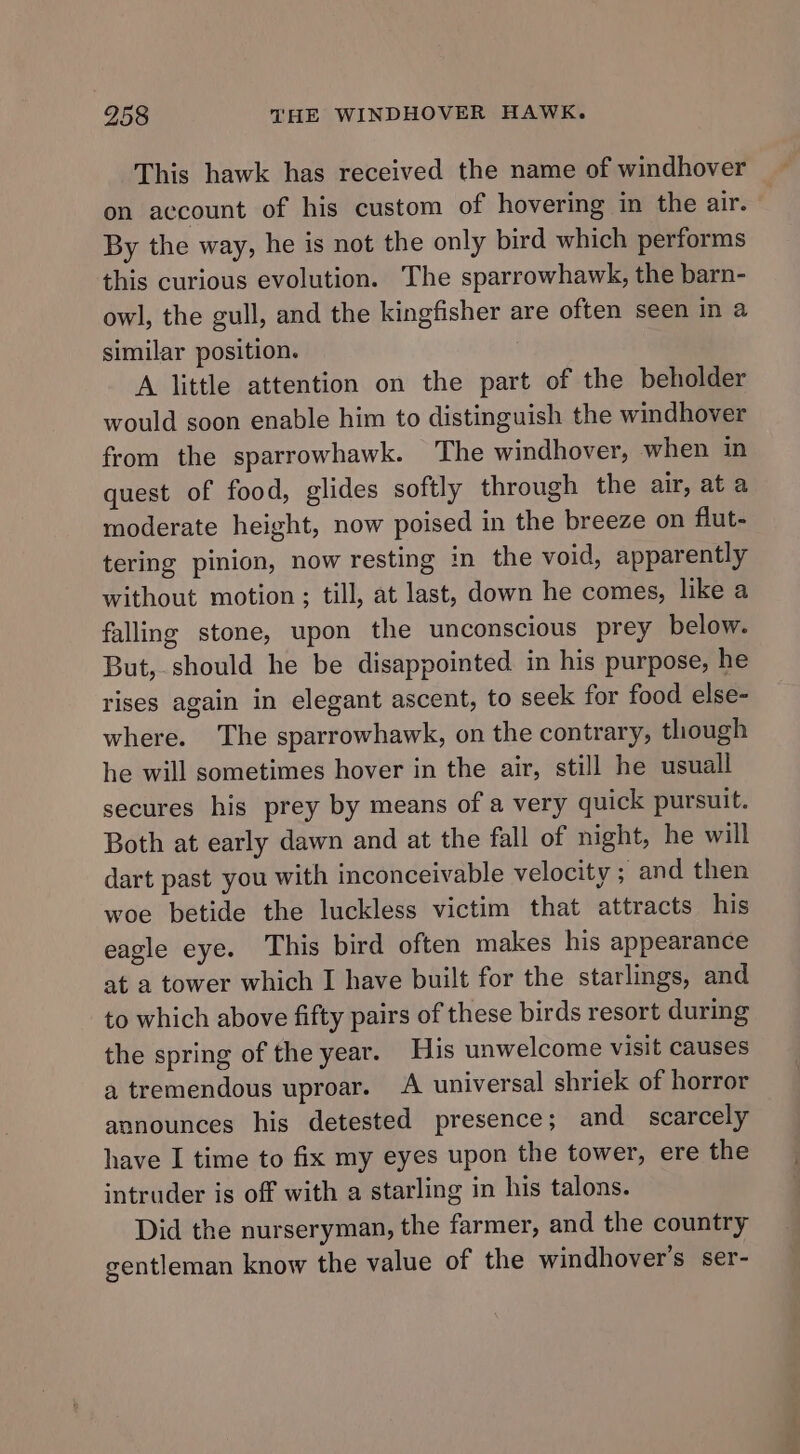 This hawk has received the name of windhover on account of his custom of hovering in the air. By the way, he is not the only bird which performs this curious evolution. The sparrowhawk, the barn- owl, the gull, and the kingfisher are often seen in a similar position. A little attention on the part of the beholder would soon enable him to distinguish the wmdhover from the sparrowhawk. The windhover, when in quest of food, glides softly through the air, at a moderate height, now poised in the breeze on flut- tering pinion, now resting in the void, apparently without motion ; till, at last, down he comes, like a falling stone, upon the unconscious prey below. But, should he be disappointed in his purpose, he rises again in elegant ascent, to seek for food else- where. The sparrowhawk, on the contrary, though he will sometimes hover in the air, still he usuall secures his prey by means of a very quick pursuit. Both at early dawn and at the fall of night, he will dart past you with inconceivable velocity ; and then woe betide the luckless victim that attracts his eagle eye. This bird often makes his appearance at a tower which I have built for the starlings, and to which above fifty pairs of these birds resort during the spring of the year. His unwelcome visit causes a tremendous uproar. A universal shriek of horror announces his detested presence; and scarcely have I time to fix my eyes upon the tower, ere the intruder is off with a starling in his talons. Did the nurseryman, the farmer, and the country gentleman know the value of the windhover’s ser-