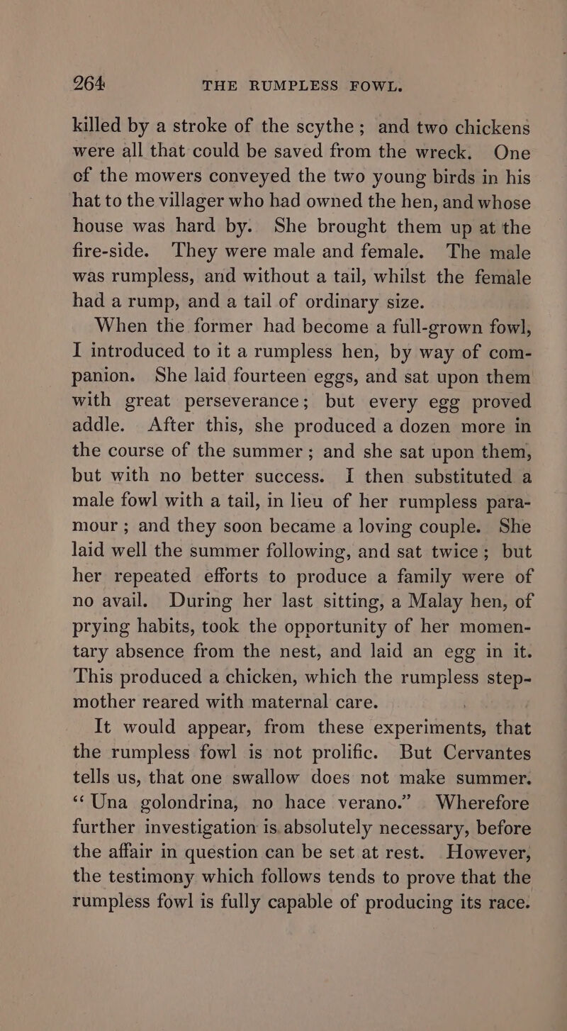 killed by a stroke of the scythe; and two chickens were all that could be saved from the wreck. One of the mowers conveyed the two young birds in his hat to the villager who had owned the hen, and whose house was hard by. She brought them up at the fire-side. They were male and female. The male was rumpless, and without a tail, whilst the female had a rump, and a tail of ordinary size. When the former had become a full-grown fowl, I introduced to it a rumpless hen, by way of com- panion. She laid fourteen eggs, and sat upon them with great perseverance; but every egg proved addle. After this, she produced a dozen more in the course of the summer ; and she sat upon them, but with no better success. I then substituted a male fowl with a tail, in lieu of her rumpless para- mour ; and they soon became a loving couple. She laid well the summer following, and sat twice; but her repeated efforts to produce a family were of no avail. During her last sitting, a Malay hen, of prying habits, took the opportunity of her momen- tary absence from the nest, and laid an egg in it. This produced a chicken, which the rumpless step- mother reared with maternal care. It would appear, from these experiments, that the rumpless fowl is not prolific. But Cervantes tells us, that one swallow does not make summer. ‘‘Una golondrina, no hace verano.” Wherefore further investigation is. absolutely necessary, before the affair in question can be set at rest. However, the testimony which follows tends to prove that the rumpless fowl is fully capable of producing its race.