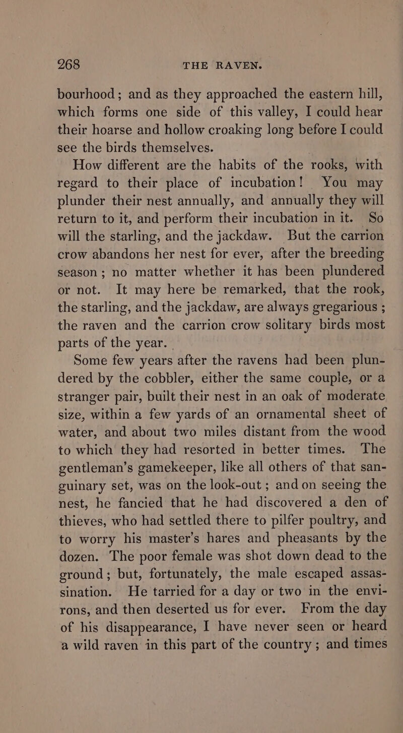 bourhood ; and as they approached the eastern hill, which forms one side of this valley, I could hear their hoarse and hollow croaking long before I could see the birds themselves. How different are the habits of the rooks, with regard to their place of incubation! You may plunder their nest annually, and annually they will return to it, and perform their incubation in it. So will the starling, and the jackdaw. But the carrion crow abandons her nest for ever, after the breeding season; no matter whether it has been plundered or not. It may here be remarked, that the rook, the starling, and the jackdaw, are always gregarious ; the raven and the carrion crow solitary birds most parts of the year. | Some few years after the ravens had been plun- dered by the cobbler, either the same couple, or a stranger pair, built their nest in an oak of moderate size, within a few yards of an ornamental sheet of water, and about two miles distant from the wood to which they had resorted in better times. The gentleman’s gamekeeper, like all others of that san- guinary set, was on the look-out ; and on seeing the nest, he fancied that he had discovered a den of thieves, who had settled there to pilfer poultry, and to worry his master’s hares and pheasants by the dozen. The poor female was shot down dead to the ground ; but, fortunately, the male escaped assas- sination. He tarried for a day or two in the envi- rons, and then deserted us for ever. From the day of his disappearance, I have never seen or heard a wild raven in this part of the country ; and times
