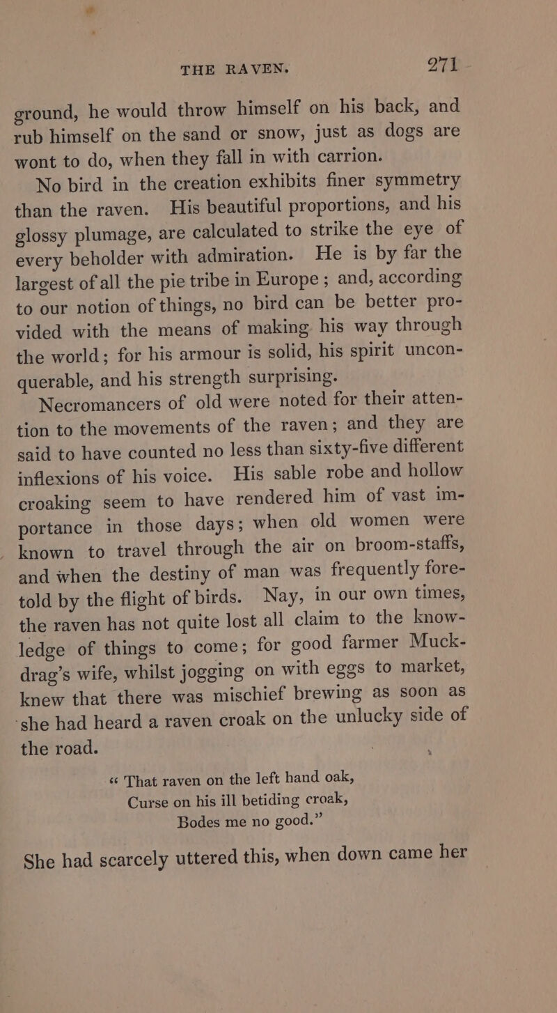 ground, he would throw himself on his back, and rub himself on the sand or snow, just as dogs are wont to do, when they fall in with carrion. No bird in the creation exhibits finer symmetry than the raven. His beautiful proportions, and his glossy plumage, are calculated to strike the eye of every beholder with admiration. He is by far the largest of all the pie tribe in Europe ; and, according to our notion of things, no bird can be better pro- vided with the means of making his way through the world; for his armour is solid, his spirit uncon- querable, and his strength surprising. Necromancers of old were noted for their atten- tion to the movements of the raven; and they are said to have counted no less than sixty-five different inflexions of his voice. His sable robe and hollow croaking seem to have rendered him of vast im- portance in those days; when old women were known to travel through the air on broom-stafts, and when the destiny of man was frequently fore- told by the flight of birds. Nay, in our own times, the raven has not quite lost all claim to the know- ledge of things to come; for good farmer Muck- drag’s wife, whilst jogging on with eggs to market, knew that there was mischief brewing as soon as ‘she had heard a raven croak on the unlucky side of the road. ‘¢ That raven on the left hand oak, Curse on his ill betiding croak, Bodes me no good.” She had scarcely uttered this, when down came her