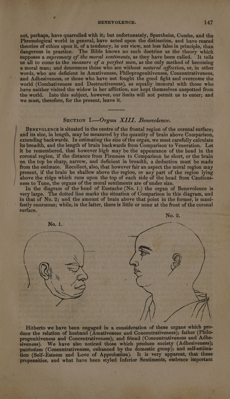 ne _— BENEVOLENCE. 147 not, perhaps, have quarrelled with it; but unfortunately, Spurzheim, Combe, and the Phrenological world in general, have acted upon the distinction, and have reared theories of ethics upon it, of a tendency, in our view, not less false in principle, than supposes a supremacy of the moral sentiments, as they have been called. It tells us all to come to the measure of a perfect man, as the only method of becoming a moral man; and denounces those who are without natural affection, or, in other words, who are deficient in Amativeness, Philoprogenitiveness, Concentrativeness, and Adhesiveness, or those who have not fought the good fight and overcome the world (Combativeness and Destructiveness), as equally immoral with those who have neither visited the widow in her afiliction, nor kept themselves unspotted from the world. Into this subject, however, our limits will not permit us to enter; and we must, therefore, for the present, leave it. Section l—Organ XIII. Benevolence. BENEVOLENCE is situated in the centre of the frontal region of the coronal surface; and its size, in length, may be measured by the quantity of brain above Comparison, extending backwards. In estimating the size of the organ, we must carefully calculate its breadth, and the length of brain backwards from Comparison to Veneration. Let it be remembered, that however high may be the appearance of the head in the coronal region, if the distance from Firmness to Comparison be short, or the brain on the top be sharp, narrow, and deficient in breadth, a deduction must be made from the estimate. Recollect, also, that however fair an aspect the moral region may above the ridge which runs upon the top of each side of the head from Cautious- ness to Tune, the organs of the moral sentiments are of under size. In the diagram of the head of Eustache (No. 1.) the organ of Benevolence is very large. The dotted line marks the situation of Comparison in this diagram, and in that of No. 2; and the amount of brain above that point in the former, is mani- surface. : No. 2. No. 1. is th igeati Hitherto we have been engaged in a consideration of those organs which pro- duce the relation of husband (Amativeness and Concentrativeness); father (Philo- progenitiveness and’ Concentrativeness); and friend (Concentrativeness and Adhe- siveness). We have also noticed those which produce society (Adhesiveness); patriotism (Coneentrativeness, enhanced by the domestic group); and self-estima- tion (Self-Esteem and Love of Approbation). It is very apparent, that these propensities, and what have been styled Inferior Sentiments, embrace important Q