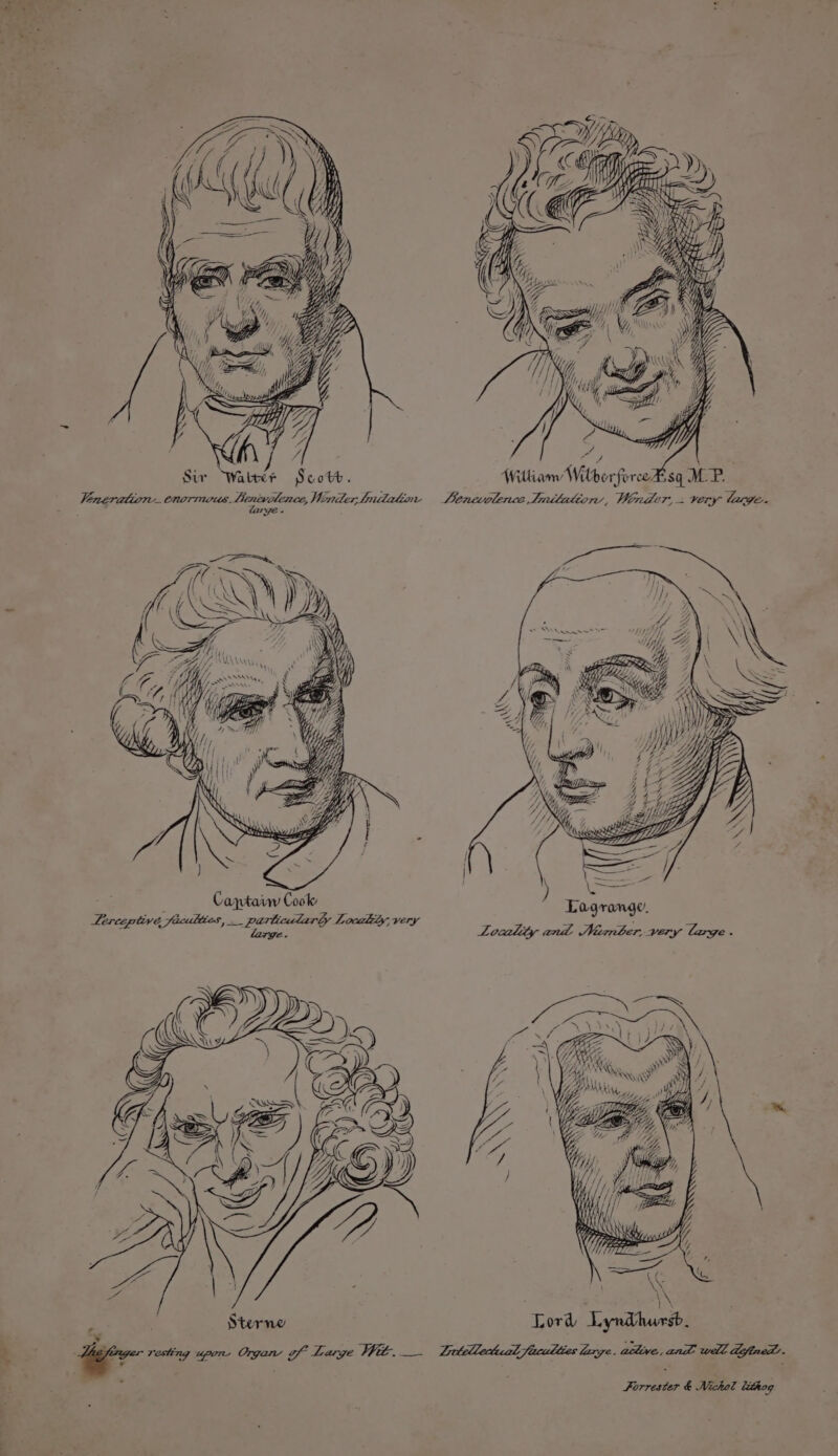 Witham Wilh v rforce $q. MP. Venerattore.. CnoTrmous. Caves, Mimder Imitation Lenewolence Imitation, Winder, very large. a caren (C wy NB : SNS hy aR . Captawy Cook Lerceptive fa FOS, an peta Locality, very a ZZ Pi Y {ATLL ‘ LN Sterne Lord Lyndhursb. ¥ ae 2 . a resting upon: Orga of Large Wit. _. Tjrtellectual faculties laxze, active,and well deftned. : Forrester &amp; Nichol bithog