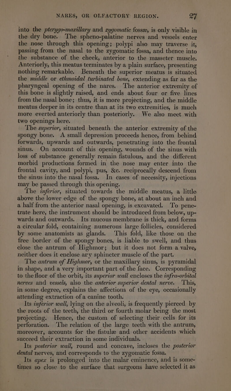 into the péerygo-maxillary and zygomatic fossæ, is only visible in the dry bone. The sphenocpalatine nerves and vessels enter the nose through this opening 3 polypi also may traverse it, passing from the nasal to the zygomatic fossa, and thence into the substance of the cheek, anterior to the masseter muscle. Anteriorly, this meatus terminates by a plain surface, presenting nothing remarkable. Beneath the superior meatus is situated the asile or ethmoidal turbinated bone, extending as far as the pharyngeal opening of the nares. The anterior extremity of this bone is slightly raised, and ends about four or five lines from the nasal bone; thus, it is more projecting, and the middle meatus deeper in its centre than at its two extr emities, is much more everted anteriorly than posteriorly. We also meet with two openings here. The superior, situated beneath the anterior extremity of the spongy bone. A small depression proceeds hence, from behind. forwards, upwards and outwards, penetrating into the frontal sinus. On account of this opening, wounds of the sinus with loss of substance generally remain fictions and the different morbid productions formed in the nose may enter into the frontal cavity, and polypi, pus, &amp;c. reciprocally descend from the sinus into the nasal fossa. In cases of necessity, injections may be passed through this opening. The inferior, situated towards the middle meatus, a little above the lower edge of the spongy bone, at about an inch and a half from the anterior nasal opening, is excavated. To pene- trate here, the instrument should be introduced from below, up- wards and outwards. Its mucous membrane is thick, and forms a circular fold, containing numerous large follicles, considered by some anatomists as glands. ‘This fold, like those on the free border of the spongy bones, is liable to swell, and thus close the antrum of Highmor; but it does not form a valve, neither does it enclose ary sphincter muscle of the part. The antrum of Highmor, or the maxillary sinus, is pyramidal in shape, and a very important part of the face. Corresponding to the floor of the orbit, its superior wall encloses the infra-orbital nerves and vessels, also the anterior superior dental nerve. ‘This, in some degree, explains the affections of the eye, occasionally attending extraction of a canine tooth. Its inferior wall, lying on the alveoli, is frequently pierced by the roots of the teeth, the third or fourth molar being the most projecting. Hence, the custom of selecting their cells for its perforation. ‘The relation of the large teeth with the antrum, moreover, accounts for the fistulæ and other accidents which succeed their extraction in some individuals. Its posterior wall, round and concave, incloses the posterior dental nerves, and corresponds to the zygomatic fossa. Its apex is prolonged into the malar eminence, and is some- times so close to the surface that surgeons have selected it as