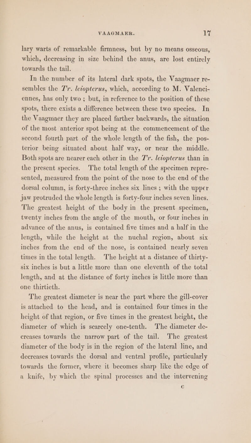 lary warts of remarkable firmness, but by no means osseous, which, decreasing in size behind the anus, are lost entirely towards the tail. In the number of its lateral dark spots, the Vaagmaer re- sembles the J'r. letopterus, which, according to M. Valenci- ennes, has only two ; but, in reference to the position of these spots, there exists a difference between these two species. In the Vaagmaer they are placed farther backwards, the situation of the most anterior spot being at the commencement of the second fourth part of the whole length of the fish, the pos- terior being situated about half way, or near the middle. Both spots are nearer each other in the 7'r. lecopterus than in the present species. The total length of the specimen repre- sented, measured from the point of the nose to the end of the dorsal column, is forty-three inches six lines ; with the upper jaw protruded the whole length is forty-four inches seven lines. The greatest height of the body in the present specimen, twenty inches from the angle of the mouth, or four inches in advance of the anus, is contained five times and a half in the length, while the height at the nuchal region, about six inches from the end of the nose, is contained nearly seven times in the total length. The height at a distance of thirty- six inches is but a little more than one eleventh of the total length, and at the distance of forty inches is little more than one thirtieth. The greatest diameter is near the part where the gill-cover is attached. to the head, and is contained four times in the height of that region, or five times in the greatest height, the diameter of which is scarcely one-tenth. The diameter de- creases towards the narrow part of the tail. ‘The greatest diameter of the body is in the region of the lateral line, and decreases towards the dorsal and ventral profile, particularly towards the former, where it becomes sharp like the edge of a knife, by which the spinal processes and the intervening C