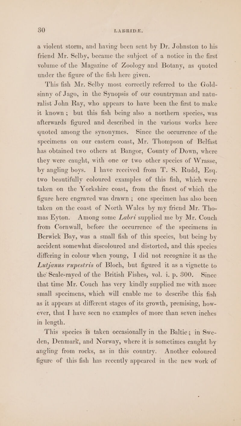 a violent storm, and having been sent by Dr. Johnston to his friend Mr. Selby, became: the subject of a notice in the first volume of the Magazine of Zoology and Botany, as quoted under the figure of the fish here given. This fish Mr. Selby most correctly referred to the Gold- sinny of Jago, in the Synopsis of our countryman and natu- ralist John Ray, who appears to have been the first to make it known; but this fish being also a northern species, was afterwards figured and described in the various works here quoted among the synonymes. Since the occurrence of the specimens on our eastern coast, Mr. Thompson of Belfast has obtained two others at Bangor, County of Down, where they were caught, with one or two other species of Wrasse, by angling boys. I have received from T. 8S. Rudd, Esq. two beautifully coloured examples of this fish, which were taken on the Yorkshire coast, from the finest of which the figure here engraved was drawn ; one specimen has also been taken on the coast of North Wales by my friend Mr. Tho- mas Eyton. Among some Labriz supplied me by Mr. Couch from Cornwall, before the occurrence of the specimens in Berwick Bay, was a small fish of this species, but being by accident somewhat discoloured and distorted, and this species differing in colour when young, I did not recognize it as the Lutjanus rupesiris of Bloch, but figured it as a vignette to the Scale-rayed of the British Fishes, vol. 1. p. 300. Since that time Mr. Couch has very kindly supplied me with more small specimens, which will enable me to describe this fish as it appears at different stages of its growth, premising, how- ever, that I have seen no examples of more than seven inches in length. This species is taken occasionally in the Baltic; in Swe- den, Denmark, and Norway, where it is sometimes caught by angling from rocks, as in this country. Another coloured figure of this fish has recently appeared in the new work of