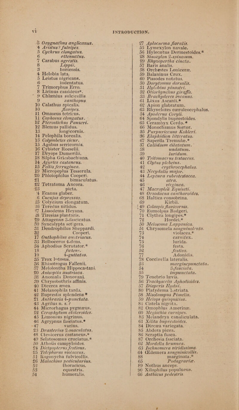 3 Oxygnathus anglicanus. 4 Aristus? fulvipes. B Cychrus elongatus. attenuatus. 3 Carabus agrestis. Lippi. hortensis. 4 Helobia lata. 5 Leistus nigricans. 6 indentatus. 7 Trimorphus Erro. 8 Licinus cassideus*. * © Chleenius sulcicollis. 9 vanthopus. iM Calathus apicalis. Siavipes. il Omaseus tetricus. 11 Cophosus elongatus. 12 Pterostichus Panzeri. 32 Blemus pallidus. 13 longicornis. 14 Pelophila borealis. 13 Colymbetes cicur. 15 Agabus serricornis. 16 Cybister Roeselii. 17 Dryops Dumerilii. 18 Silpha Griesbachiana, 14. Agyries castaneus. 15 Peitis ferruginea. 19 Micropeplus Tesserula. a Phloiophilus Cooperi. 2 oe Tetratoma Ancora, picta. ee Ecanus glaber. 6 Cucujus depressus. 25 Colydium elongatum, 26 Teredus nitidus. %7 Lissodema Heyana. 28 Tiresias plantaris. 29 Attagenus 3-fascicatus. 30 Syncalypta setigera. 25 Dendrophilus Sheppardi. Cooperi. 17 Onthophilus austriacus. 33 Bolbocerus 4-dens. 34 Aphodius Scrutator.* i Joetens. 4-cuttatus. 3p Trox Intosus. 86 Rhisotrogus Fallenii. 20 Anisoplia austriaca. 8&amp;8 Anomala Donovani. 39 Chrysobothris affinis. 40 Dicerca znea. 41 Melanophila tarda, 42 Buprestis splendens * 21 Anthrazia 4-punctata. 43 Agrilus n. s.? 44 Microrhagus pygmeus. 22 Cerophytum elateroides. 45 Limonius nigrinus. 46 Agrypnus faseiatus.* 47 varius. 23 Drasterius 2-maculatus. 48 Ctenicerus castaneus.* 49 Selatosomus cruciatus.* 50 Athotis campyloides. 24 Dictyopterus festivus. 25 Telephorus violaceus. 51 Ragonycha fulvicollis. 26 Malachius pediculartus. 52 thoracicus. 53 equestris. 54 humeralis. 56 66 Hyleczetus Dermestoides.* Sinoarylon 2-spinosum, Rhyxopertha cincta. Baris analis. Orchestes Lonicere. Balaninus Crux. Pissodes notatus. Dorytomus dorsalis. Hylobius pinastre. Otiorhynchus giraffa. Brachyderes incanus. Lixus Ascanii.* Apion glabratum. Apoderus Coryli. Spondylis buprestoides. Cerambyx Cerdo.* Monochamus Sartor. Purpuricenus Kohleré. Elaphidion litteratus. Saperda Tremule.* Callidium dilatatum. ’ undatum. luridum. Tritomacrus testaceus. Clytus plebetus. erythrocephalus. Necydalis major. Leptura rubrotestacea. atra. virgined. Macroplea Equisett. Orsodacna cantharotdes. Haltica consobrina. Kirbii. Colaspis flavicornis. Eumolpus Badgeri. Clythra longipes.* Hordei.* Melosoma Lapponica. Chrysomela sanguztnolenta. violacea,* carnifex. lurida. festa. JSestiva. Adonidis. Coccinelia lateralis. 3-fasciata. impunctata. Tenebrio levis. Trachyscelis Aphodioides. Diaperis Hyadnt. Platydema 1-striata. Misolampus Pimelia. Helops quisquilius. Cistela nigrita. Omophlus Amerine. Megischia curvipes. Melandrya canaliculata. Xilita buprestotdes. Dircea variegata, Abdera picea. Scraptia fusca. Orchesia fasciata. Mordella brunnea. Ischnomera viridissima. GEdemera sanguinicollis. marginata.* Podagrarte. Nothus anceps. Xilophilus populneus. Anthicus pedestris.