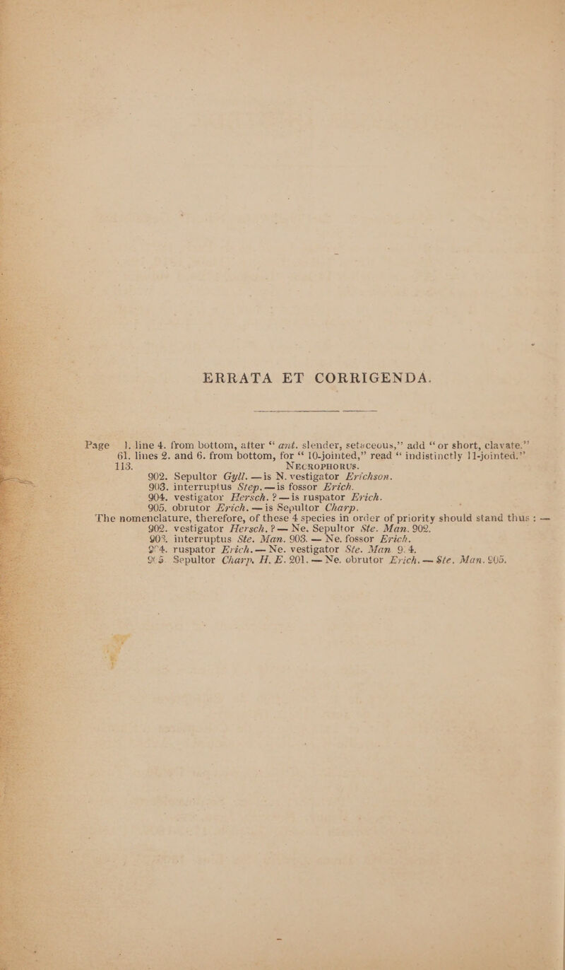 ERRATA ET CORRIGENDA. Bay line 4. from bottom, tiien * ant. slender, setuceous,”’ add “ or short, clavate. a, _ 61. lines 2. and 6. from ‘bottom, for ** 10-jointed,” read ic indistinctly 11-jointed.” INS: ces ; NECROPHORUS.  902. Sepultor Gyl?. —is N. vestigator Evichson. 903. interruptus Step. =e fossor Erich. - 904. vestigator Hersch. ?—is ruspator Evich. 905. obrutor Latch. —is Sepultor Charp. : The nomenclature, therefore, of these 4 species in order of priority sane stand thus : : 902. vestigator Hersch.? — Ne. Sepultor Ste. Man. 902. 903. interruptus Sfe. Man. 903. — Ne. fossor Erich. C4. ruspator Erich.— Ne. vestigator Ste. Man 9.4. (5. Sepultor Charp. H, E.201.—Ne. obrutor Erich. — Ste. Man. 905. ~~ weer