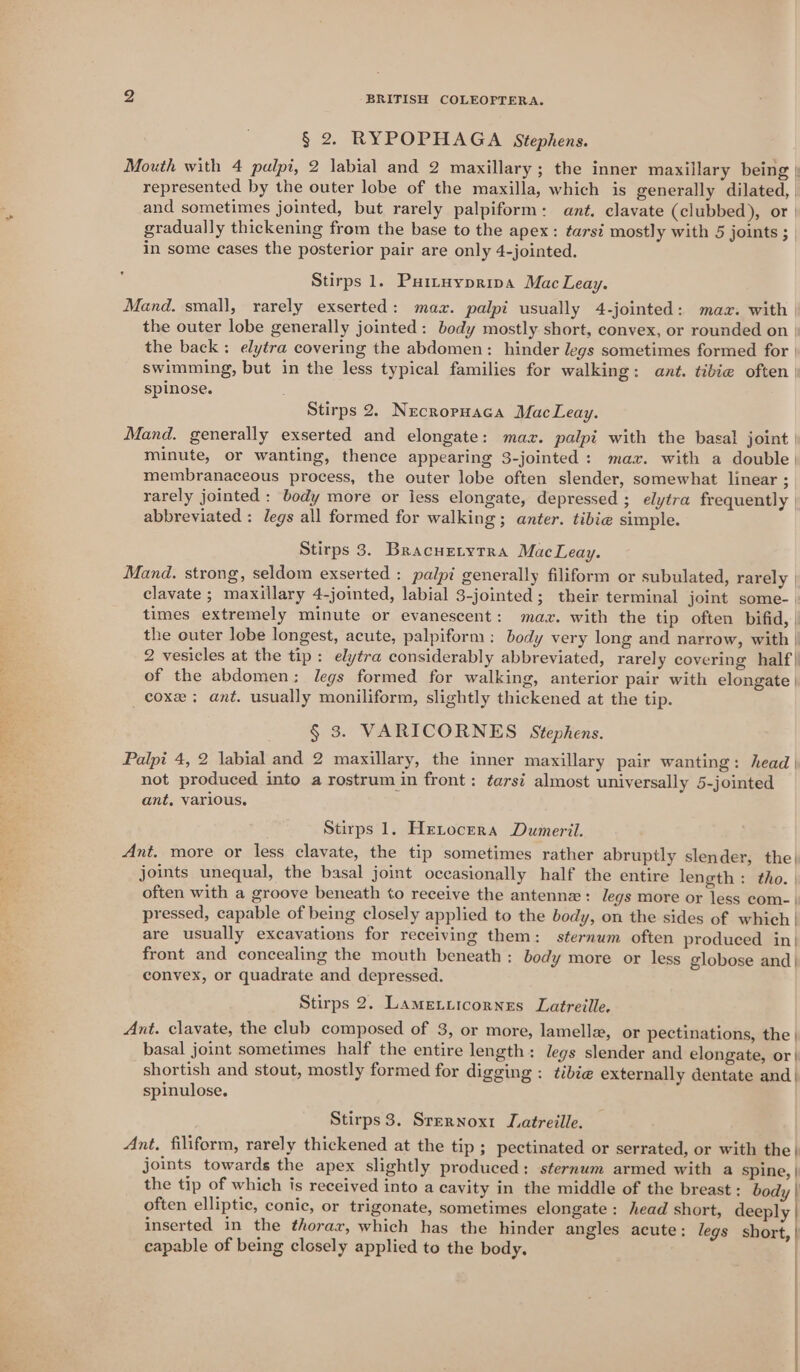 3; BRITISH COLEOPTERA. § 2. RYPOPHAGA Stephens. Mouth with 4 palpi, 2 labial and 2 maxillary; the inner maxillary being } represented by the outer lobe of the maxilla, which is generally dilated, and sometimes jointed, but rarely palpiform: ant, clavate (clubbed), or | gradually thickening from the base to the apex: tarsi mostly with 5 joints ; in some cases the posterior pair are only 4-jointed. Stirps 1. Puituypripva Mac Leay. Mand. small, rarely exserted: max. palpi usually 4-jointed: maz. with | the outer lobe generally jointed: body mostly short, convex, or rounded on | the back: elytra covering the abdomen: hinder legs sometimes formed for | swimming, but in the less typical families for walking: ant. tibie often | spinose. Stirps 2. Necropuaca MacLeay. Mand. generally exserted and elongate: max. palpi with the basal joint | minute, or wanting, thence appearing 3-jointed : maz. with a double | membranaceous process, the outer lobe often slender, somewhat linear ; rarely jointed : body more or less elongate, depressed ; elytra frequently | abbreviated : legs all formed for walking; anter. tibie simple. Stirps 3. Bracuetytra MacLeay. Mand. strong, seldom exserted : palpi generally filiform or subulated, rarely | clavate ; maxillary 4-jointed, labial 3-jointed; their terminal joint some- | times extremely minute or evanescent: maz. with the tip often bifid, | the outer lobe longest, acute, palpiform: body very long and narrow, with | 2 vesicles at the tip: elytra considerably abbreviated, rarely covering half| of the abdomen; legs formed for walking, anterior pair with elongate | cox; ant. usually moniliform, slightly thickened at the tip. § 3. VARICORNES Stephens. Palpi 4, 2 labial and 2 maxillary, the inner maxillary pair wanting: head | not produced into a rostrum in front: tarsi almost universally 5-jointed ant, various. Stirps 1. Hetocera Dumeril. Ant. more or less clavate, the tip sometimes rather abruptly slender, the) joints unequal, the basal joint occasionally half the entire length : tho. | often with a groove beneath to receive the antenne: legs more or less com-| pressed, capable of being closely applied to the body, on the sides of which | are usually excavations for receiving them: sternwm often produced in| front and concealing the mouth beneath : body more or less globose and| convex, or quadrate and depressed. Stirps 2. Lametuicornes Latreille, Ant. clavate, the club composed of 3, or more, lamella, or pectinations, the | basal joint sometimes half the entire length: legs slender and elongate, or | shortish and stout, mostly formed for digging : tibie externally dentate and_| spinulose. Stirps 3. Srernoxi Jatreille. Ant. filiform, rarely thickened at the tip ; pectinated or serrated, or with the | joints towards the apex slightly produced: sternum armed with a spine, | the tip of which is received into a cavity in the middle of the breast : body | often elliptic, conic, or trigonate, sometimes elongate: head short, deeply | inserted in the thorax, which has the hinder angles acute: legs short, | capable of being closely applied to the body. ;