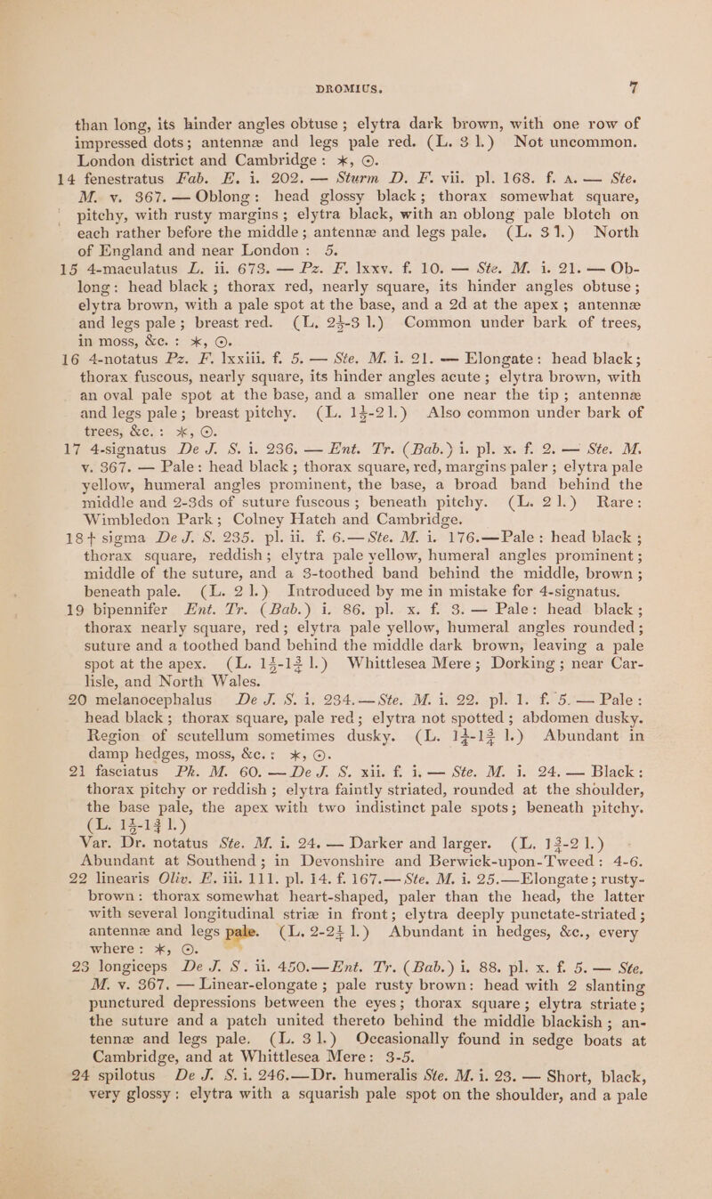 than long, its hinder angles obtuse ; elytra dark brown, with one row of impressed dots; antenne and legs pale red. (L. 31.) Not uncommon. London district and Cambridge: x, ©. 14 fenestratus Fab. E. i. 202. — Sturm D. F. vii. pl. 168. f. a. — Ste. M. v. 367.—Oblong: head glossy black; thorax somewhat square, pitchy, with rusty margins; elytra black, with an oblong pale blotch on each rather before the middle; antennz and legs pale. (L. 31.) North of England and near London: 5. 15 4-maculatus Z. i. 673. — Pz. F. lxxv. f 10. — Ste. M. 1. 21. — Ob- long: head black ; thorax red, nearly square, its hinder angles obtuse ; elytra brown, with a pale spot at the base, and a 2d at the apex ; antenne and legs pale; breast red. (UL. 24-3 1.) Common under bark of trees, in moss, &amp;c. : &gt;, ©. 16 4-notatus Pz. F. lxxiil. f. 5. — Ste. M. i. 21. — Elongate: head black; thorax fuscous, nearly square, its hinder angles acute; elytra brown, with an oval pale spot at the base, anda smaller one near the tip; antenne and legs pale; breast pitchy. (LL. 13-21.) Also common under bark of trees, &amp;c.: *, ©. 17 4-signatus De J. S. i. 236. — Ent. Tr. (Bab.) 1. pl. x. f. 2. — Ste. M. y. 367. — Pale: head black ; thorax square, red, margins paler ; elytra pale yellow, humeral angles prominent, the base, a broad band behind the middle and 2-3ds of suture fuscous; beneath pitchy. (L. 21.) Rare: Wimbledon Park; Colney Hatch and Cambridge. 18+ sigma De J. S. 235. pl. ii. f. 6.— Ste. M. i. 176.—Pale: head black ; thorax square, reddish; elytra pale yellow, humeral angles prominent ; middle of the suture, and a 3-toothed band behind the middle, brown ; beneath pale. (L. 21.) Introduced by me in mistake fer 4-signatus. 19 bipennifer Ent. Tr. (Bab.) i. 86. pl. x. f. 3. — Pale: head black; thorax nearly square, red; elytra pale yellow, humeral angles rounded ; suture and a toothed band behind the middle dark brown, leaving a pale spot at the apex. (L. 14-131.) Whittlesea Mere; Dorking; near Car- lisle, and North Wales. 20 melanocephalus De J. S. i. 234.—Ste. M. i. 22. pl. 1. f. 5. — Pale: head black ; thorax square, pale red; elytra not spotted ; abdomen dusky. Region of scutellum sometimes dusky. (L. 14-13 1.) Abundant in damp hedges, moss, &amp;c.: x, ©. 21 fasciatus Pk. M. 60.—DeJ. S. xii. f. 1. — Ste. M. i. 24, — Black: thorax pitchy or reddish ; elytra faintly striated, rounded at the shoulder, the base pale, the apex with two indistinct pale spots; beneath pitchy. (L. 14-17 1.) Var. Dr. notatus Ste. M. i. 24. — Darker and larger. (L. 13-21.) Abundant at Southend; in Devonshire and Berwick-upon-Tweed: 4-6. 22 linearis Oliv. FE. ili. 111. pl. 14. f. 167.— Ste. M, i. 25.—Elongate ; rusty- brown: thorax somewhat heart-shaped, paler than the head, the latter with several longitudinal strie in front; elytra deeply punctate-striated ; antennz and legs al (L, 2-22 1.) Abundant in hedges, &amp;c., every where: *, © &amp; 23 longiceps De J. S. ii. 450.—Ent. Tr. (Bab.) i. 88. pl. x. f. 5. — Ste. M. v. 367. — Linear-elongate ; pale rusty brown: head with 2 slanting punctured depressions between the eyes; thorax square; elytra striate ; the suture and a patch united thereto behind the middle blackish ; an- tenne and legs pale. (L. 31.) Occasionally found in sedge boats at Cambridge, and at Whittlesea Mere: 3-5. 24 spilotus De J. S.i. 246.—Dr. humeralis Ste. M. i. 23. — Short, black, very glossy; elytra with a squarish pale spot on the shoulder, and a pale