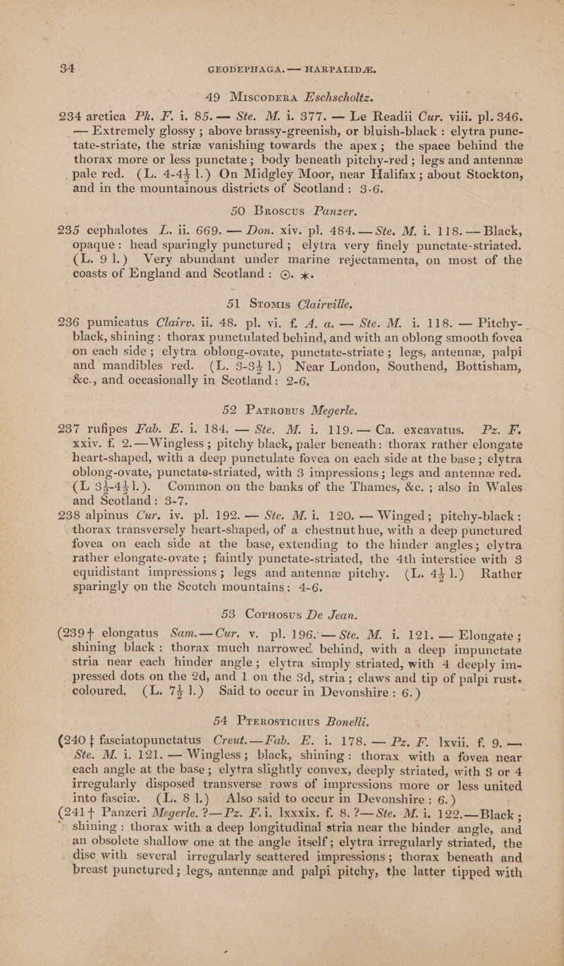 ' 49 Miscopera Hschscholtz. 234 arctica Pk. F. i. 85. — Ste. M. i. 377. — Le Readii Cur. viii. pl. 346. _— Extremely glossy ; above brassy-greenish, or bluish-black : elytra punc- tate-striate, the striae vanishing towards the apex; the space behind the thorax more or less punctate; body beneath pitchy-red ; legs and antennz _pale red. (L. 4-45 1.) On Midgley Moor, near Halifax ; about Stockton, and in the mountainous districts of Scotland: 3-6. 50 Broscus Panzer. 235 cephalotes JZ. ii. 669. — Don. xiv. pl. 484. — Ste. M. i. 118. —-— Black, opaque: head sparingly punctured; elytra very finely punctate-striated. (L. 91.) Very abundant under marine rejectamenta, on most of the coasts of England and Scotland: ©. x. 51 Stromis Clairville. 236 pumicatus Clairv. ii. 48. pl. vi. f£. A. a. — Ste. M. i. 118. — Pitchy-_ black, shining : thorax punctulated behind, and with an oblong smooth fovea on each side; elytra oblong-ovate, punctate-striate; legs, antenne, palpi and mandibles red. (L. 3-341.) Near London, Southend, Bottisham, &amp;c., and occasionally in Scotland: 2-6, 52 Parrozus Megerle, 237 rufipes Fab. E. i. 184. — Ste. M. i. 119.— Ca. excavatus. Pz. F, xxiv. f 2.—Wingless ; pitchy black, paler beneath: thorax rather elongate heart-shaped, with a deep punctulate fovea on each side at the base ; elytra oblong-ovate, punctate-striated, with 3 impressions; legs and antenne red. (L 35-431.). Common on the banks of the Thames, &amp;c. ; also in Wales and Scotland: 3-7. 238 alpinus Cur. iv. pl. 192. — Ste. M.i. 120. — Winged; pitchy-black : . thorax transversely heart-shaped, of a chestnut hue, with a deep punctured fovea on each side at the base, extending to the hinder angles; elytra rather elongate-ovate ; faintly punctate-striated, the 4th interstice with 3 equidistant impressions; legs and antenne pitchy. (L. 431.) Rather sparingly on the Scotch mountains: 4-6. 53 Corunosus De Jean. (239+ elongatus Sam.—Cur. v. pl. 196..— Ste. M. i. 121. — Elongate ; shining black: thorax much narrowed behind, with a deep impunctate stria near each hinder angle; elytra simply striated, with 4 deeply im- _ pressed dots on the 2d, and 1 on the 3d, stria; claws and tip of palpi rust. coloured, (L. 751.) Said to occur in Devonshire: 6.) 54 Prerosticnus Bonelli. (240 } fasciatopunctatus Creut.—Fab. E. i. 178. — Pz, F. lxvii. f. 9, — Ste. M. i. 121. — Wingless; black, shining: thorax with a fovea near each angle at the base; elytra slightly convex, deeply striated, with 3 or 4 irregularly disposed transverse rows of impressions more or less united into fasciez. (L. 81.) | Also said to occur in Devonshire : 6.) (241+ Panzeri Megerle, ?—Pz. F.i, xxxix. f. 8.?—Ste, M. i. 122.—Black ; shining: thorax with a deep longitudinal stria near the hinder angle, and an obsolete shallow one at the angle itself; elytra irregularly striated, the disc with several irregularly scattered impressions; thorax beneath and breast punctured ; legs, antenne and palpi pitchy, the latter tipped with
