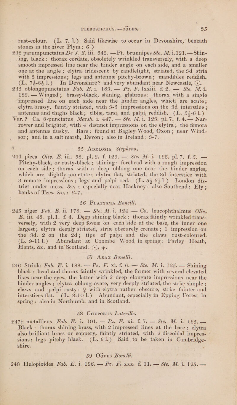 rust-colour. (lL. 7.1.) Said likewise to occur in Devonshire, beneath stones in the river Plym: 6.) 242 parumpunctatus De J. S. ili. 842. —Pt. brunnipes Ste. M. i.121.—Shin- ing, black: thorax cordate, obsoletely wrinkled transversely, with a deep smooth impressed line near the hinder angle on each side, and a smaller one at the angle; elytra iridescent by candlelight, striated, the 3d stria with 3 impressions; legs and antenne pitchy-brown; mandibles reddish, (L. 73-851.) In Devonshire? and very abundant near Neweastle, ©). 243 oblongopunctatus Fab. E.i. 183. — Pz. F. lxxiil. f. 2. — Ste. Mii. 122. — Winged ;_ brassy-black, shining, glabrous: thorax with a single impressed line on each side near the hinder angles, which are acute; elytra brassy, faintly striated, with 3-5 impressions on the 3d interstice ; antenne and thighs black; tibiz, tarsi, and palpi, reddish. (L. 53-61.) Var.? Ca. 8-punctatus Marsh. i. 447. — Ste. M.i. 123. pl.7. f. 4.— Nar- rower and brighter, with 4 distinct impressions on the elytra; the femora and antenne dusky. Rare: found at Bagley Wood, Oxon; near Wind- sor; and in a salt marsh, Devon; also in Ireland: 3-7. a 55 ADELOSIA Stephens. 244 picea Oliv. E. iii. 58. pl.2. £123. — Ste. M. i. 193. pl.7. £5. — Pitchy-black, or rusty-black ; shining: forehead with a rough impression on each side; thorax with a deep oblong one near the hinder angles, which are slightly punctate; elytra flat, striated, the 3d interstice with 3 remote impressions; legs and palpi red. (L. 53-641.) London dis« trict under moss, &amp;c. ; especially near Hackney: also Southend; Ely; banks of Tees, &amp;e.: 2-7. 56 Pratysma Bonelli. 245 niger Fab. E. ii. 178. — Ste. M. i. 124. — Ca. leucophthalmus Oliv, E. iii. 48. pl.1. f. 4. Deep shining black: thorax faintly wrinkled trans- versely, with 2 very deep fovee on each side at the base, the inner one largest; elytra deeply striated, striz obscurely crenate; 1 impression on the 3d, 2 on the 2d; tips of palpi and the claws rust-coloured. (L. 9-111.) Abundant at Coombe Wood in spring: Parley Heath, Hants, &amp;c. and in Scotland: @), x. 57 Asax Bonelli. 246 Striola Fab. E. i. 188. — Pz. F. xi. f. 6. — Ste. M. i. 125. — Shining black : head and thorax faintly wrinkled, the former with several elevated lines near the eyes, the latter with 2 deep elongate impressions near the hinder angles; elytra oblong-ovate, very deeply striated, the striz simple ; claws and palpi rusty: Q with elytra rather obscure, striz fainter and interstices flat. (L. 8-101.) Abundant, especially in Epping Forest in spring: also in Northumb. and in-Scotland. 58 Cuerrorus Latreille. 247+ metallicus Fab. E. i. 101. — Pz. F. xi. f. 7. — Ste. M. i. 125, — Black : thorax shining brass, with 2 impressed lines at the base; elytra also brilliant brass or coppery, faintly striated, with 2 discoidal impres- - sions; legs pitchy black. (L. 61.) Said to be taken in Cambridge- shire. 59 Ooves Bonelli. 248 Helopioides Fab. EH. i. 196. — Pz. F. xxx. f. 11. — Ste, M. i. 125. —