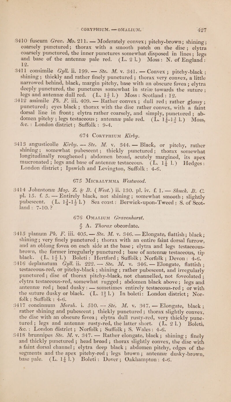 3410 fuscum Grav. Mo. 211. — Moderately convex; pitchy-brown; shining ; coarsely punctured; thorax with a smooth patch on the disc; elytra coarsely punctured, the inner punctures somewhat disposed in lines; legs and base of the antenne pale red. (L. 21.) Moss: N. of England: £2. 3411 consimile Gryil. ii. 199. — Ste. M. v. 341. — Convex 3 pitehy-black ; shining ; thickly and rather finely punctured ; thorax very convex, a little narrowed behind, black, margin pitchy, base with an obscure fovea ; elytra deeply punctured, the punctures somewhat in strie towards the suture ; legs and antenne dull red. (L. 131.) Moss: Scotland: 12. 3412 assimile Pk. F. iii. 409. — Rather convex; dull red; rather glossy ; punctured; eyes black; thorax with the dise rather convex, with a faint dorsal line in front; elytra rather coarsely, and simply, punctured ; ab- domen pitchy ; legs testaceous; antenne pale red. (L. 14-121.) Moss, &amp;c. : London district; Suffolk; 9-4. 674 Coryruium Kirby. 3413 angusticolle Kirby. — Ste. M. v. 344.— Black, or pitchy, rather shining; somewhat pubescent; thickly punctured; thorax somewhat longitudinally roughened; abdomen broad, acutely margined, its apex mucronated ; legs and base of antenne testaceous. (L. 11 1.) Hedges: London district ; Ipswich and Levington, Suffolk: 4-6. 675 Micratymma Westwood. 3414 Johnstone Mag. Z. &amp; B. ( West.) ii. 130. pl. iv. f. 1. — Shuck. B. C. pl. 15. f. 5. — Entirely black, not shining ; somewhat smooth; slightly pubescent. (L. 14-151.) Sea coast: Berwick-upon-Tweed ; S. of Scot- land: 7-10. ? 676 Omatium Gravenhorst. § A. Thorax obcordate. 3415 planum Pk, F. ili. 405.— Ste. M. v. 346. — Elongate, flattish; black; shining ; very finely punctured ; thorax with an entire faint dorsal furrow, and an oblong fovea on each side at the base; elytra and legs testaceous- brown, the former irregularly punctured ; base of antenna testaceous, tip black. (LL. 1/1.) Boleti: Hertford; Suffolk; Norfolk; Devon: 4-6. 3416 deplanatum Gyil. ii. 222. — Ste. M. v. 346.— Elongate, flattish ; testaceous-red, or pitchy-black ; shining ; rather pubescent, and irregularly punctured; dise of thorax pitchy-black, not channelled, not foveolated ; elytra testaceous-red, somewhat rugged; abdomen black above; legs and antenne red; head dusky: — sometimes entirely testaceous-red ; or with the suture dusky or black. (L. 121.) In boleti: London district; Nor- folk ; Suffolk : 4-6. 3417 concinnum Marsh. i. 510. -- Ste. M. v. 347. — Elongate, black ; rather shining and pubescent ; thickly punctured ; thorax slightly convex, the dise with an obscure fovea; elytra dull rusty-red, very thickly pune- tured; legs and antenne rusty-red, the latter short. (IL. 21.) Boleti, &amp;c.: London district ; Norfolk; Suffolk; S. Wales: 4-6. 3418 brunnipes Ste. M. v. 347. — Rather elongate, black; shining ; finely and thickly punctured; head broad ; thorax slightly convex, the dise with a faint dorsal channel; elytra deep black ; abdomen pitchy, edges of the segments and the apex pitehy-red; legs brown; antenne dusky-brown, base pale. (L. 121.) Boleti: Dover; Oakhampton: 4-6.