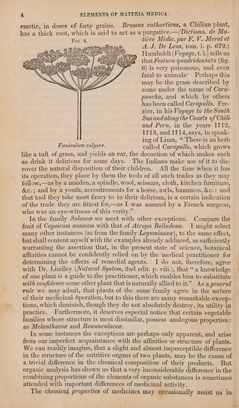 emetic, in doses of forty grains. Bromus catharticus, a Chilian plant, has a thick root, which is said to act as a purgative.—(Dictionn. de Ma- oie e titre Médic. par F. V. Merat et gn SytPoam asin IOS 90. A, J. De Lens, tom. i. p. 672.) ape GEO ES os See naa, Humboldt (Voyage, t. i.) tells us eens | Rhee wPley’ that Festuca quadridentata (fig. 6) is very poisonous, and even fatal to animals: Perhaps this may be the grass described by some under the name of Cara- poucha, and which by others has been called Carapullo. Fre- zier, in his Voyage to the South Sea and along the Coasts of Chili and Peru, in the years 1712, 1713, and 1714, says, in speak- ing of Lima, “ There is an herb called Carapullo, which grows like a tuft of grass, and yields an ear, the decoction of which makes such as drink it delirious for some days. ‘The Indians make use of it to dis- cover the natural disposition of their children. All the time when it has its operation, they place by them the tools of all such trades as they may follow,—as by a maiden, a spindle, wool, scissars, cloth, kitchen furniture, &amp;c.; and by a youth, accoutrements for a horse, awls, hammers, &amp;c.: and that tool they take most fancy to in their delirium, is a certain indication of the trade they are fittest for,—as I was assured by a French surgeon, who was an eye-witness of this verity.” In the family Solanee we meet with other exceptions. Compare the fruit of Capsicum annuum with that of Atropa Belladona. JI might select many other instances (as from the family Leguminose), to the same effect, but shall content myself with the examples already adduced, as sufficiently warranting the assertion that, in the present state of science, botanical affinities cannot be confidently relied on by the medical practitioner for determining the effects of remedial agents. I do not, therefore, agree with Dr. Lindley (Natural System, 2nd edit. p. viii.), that “a knowledge of one plant is a guide to the practitioner, which enables him to substitute - with confidence some other plant that is naturally allied to it.” As a general rule we may admit, that plants of the same family agree in the nature of their medicinal Operation, but to this there are many remarkable excep- tions, which diminish, though they do not absolutely destroy, its utility in practice. Furthermore, it deserves especial notice that certain vegetable families whose structure 1s most dissimilar, possess analogous properties : as Melanthacee and Ranunculacee. In some instances the exceptions are perhaps only apparent, and arise from our imperfect acquaintance with the affinities or structure of plants. We can readily imagine, that a slight and almost imperceptible difference in the structure of the nutritive organs of two plants, may be the cause of — a trivial difference in the chemical composition of their products. But organic analysis has shown us that a very inconsiderable difference in the combining proportions of the elements of organic substances is sometimes attended with important differences of medicinal activity, | The chemical properties of medicines may occasionally assist us in 5 C YW oF Ik Artsohkg Oy 7. 1 an¥)2, WY SANE) LORD y OQNPOWEA oY, SHEL NZ Zs? Feniculum vulgare.