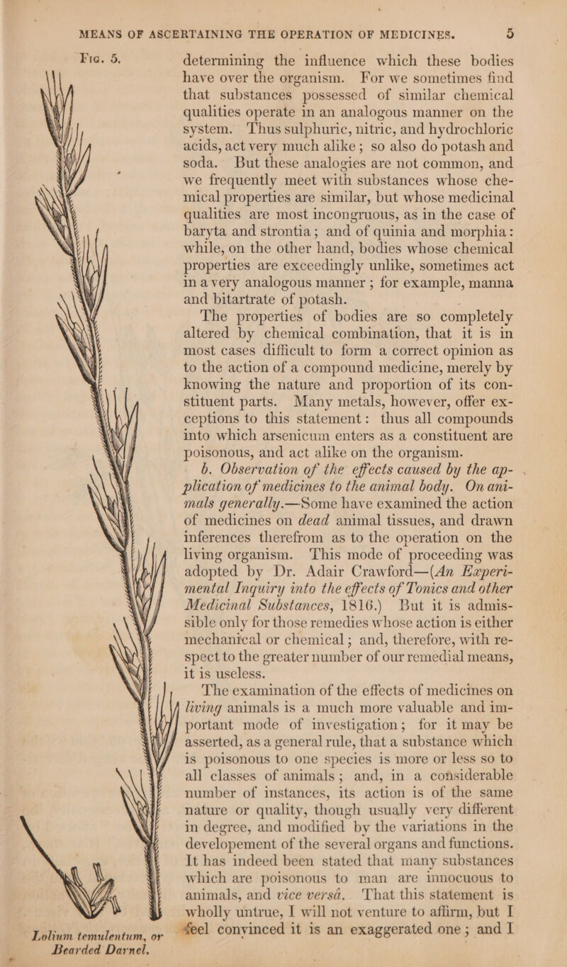 Lolium temulentum, or Bearded Darnel. determining the influence which these bodies have over the organism. For we sometimes find that substances possessed of similar chemical qualities operate in an analogous manner on the system. ‘Thus sulphuric, nitric, and hydrochloric acids, act very much alike; so also do potash and soda. But these analogies are not common, and we frequently meet with substances whose che- mical properties are similar, but whose medicinal qualities are most incongruous, as in the case of baryta and strontia; and of quinia and morphia: while, on the other head: bodies whose chemical properties are exceedingly unlike, sometimes act in avery analogous manner ; for example, manna and bitartrate of potash. The properties of bodies are so completely altered by chemical combination, that it is in most cases difficult to form a correct opinion as to the action of a compound medicine, merely by knowing the nature and proportion of its con- stituent parts. Many metals, however, offer ex- ceptions to this statement: thus all compounds into which arsenicum enters as a constituent are poisonous, and act alike on the organism. b. Observation of the effects caused by the ap- plication of medicines to the animal body. On ani- mals generally.—Some have examined the action of medicines on dead animal tissues, and drawn inferences therefrom as to the operation on the living organism. ‘This mode of proceeding was adopted by Dr. Adair Crawford—(An Eexperi- mental Inquiry into the effects of Tonics and other Medicinal Substances, 1816.) But it is admis- sible only for those remedies whose action is either mechanical or chemical; and, therefore, with re- spect to the greater number of our remedial means, it is useless. The examination of the effects of medicines on living animals is a much more valuable and im- portant mode of investigation; for it may be asserted, as a general rule, that a substance which is poisonous to one species is more or less so to all classes of animals; and, in a considerable number of instances, its action is of the same nature or quality, though usually very different in degree, and modified by the variations in the developement of the several organs and functions. It has indeed been stated that many substances which are poisonous to man are innocuous to animals, and vice versa. ‘That this statement is wholly untrue, I will not venture to affirm, but I o