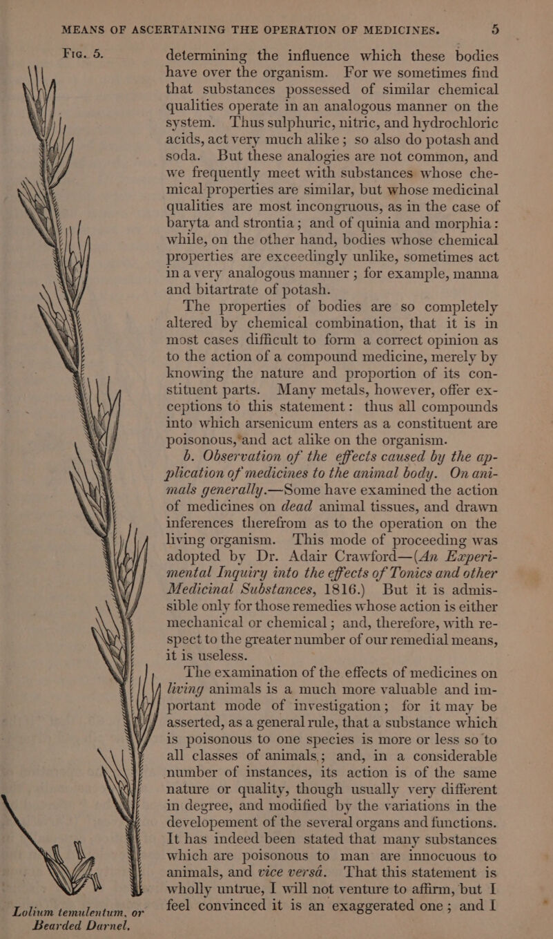 Fig. 5. determining the influence which these bodies have over the organism. For we sometimes find that substances possessed of similar chemical qualities operate in an analogous manner on the system. Thus sulphuric, nitric, and hydrochloric acids, act very much alike; so also do potash and soda. But these analogies are not common, and we frequently meet with substances whose che- mical properties are similar, but whose medicinal qualities are most incongruous, as in the case of baryta and strontia; and of quinia and morphia: while, on the other hand, bodies whose chemical properties are exceedingly unlike, sometimes act inavery analogous manner ; for example, manna and bitartrate of potash. The properties of bodies are so completely altered by chemical combination, that it is in most cases difficult to form a correct opinion as \ to the action of a compound medicine, merely by ; knowing the nature and proportion of its con- stituent parts. Many metals, however, offer ex- ceptions to this statement: thus all compounds into which arsenicum enters as a constituent are poisonous, and act alike on the organism. b. Observation of the effects caused by the ap- plication of medicines to the animal body. On ani- mals generally.—Some have examined the action of medicines on dead animal tissues, and drawn inferences therefrom as to the operation on the living organism. This mode of proceeding was | adopted by Dr. Adair Crawford—(An Ezperi- | i | mental Inquiry into the effects of Tonics and other Medicinal Substances, 1816.) But it is admis- \Y/ __ sible only for those remedies whose action is either \ mechanical or chemical; and, therefore, with re- spect to the greater number of our remedial means, it is useless. The examination of the effects of medicines on living animals is a much more valuable and im- portant mode of investigation; for it may be asserted, as a general rule, that a substance which is poisonous to one species is more or less so to all classes of animals; and, in a considerable number of instances, its action is of the same nature or quality, though usually very different in degree, and modified by the variations in the developement of the several organs and functions. It has indeed been stated that many substances which are poisonous to man are imnocuous to animals, and vice versd. 'That this statement is wholly untrue, I will not venture to affirm, but I feel convinced it is an exaggerated one; and I Lolium temulentum, or Bearded Darnel,