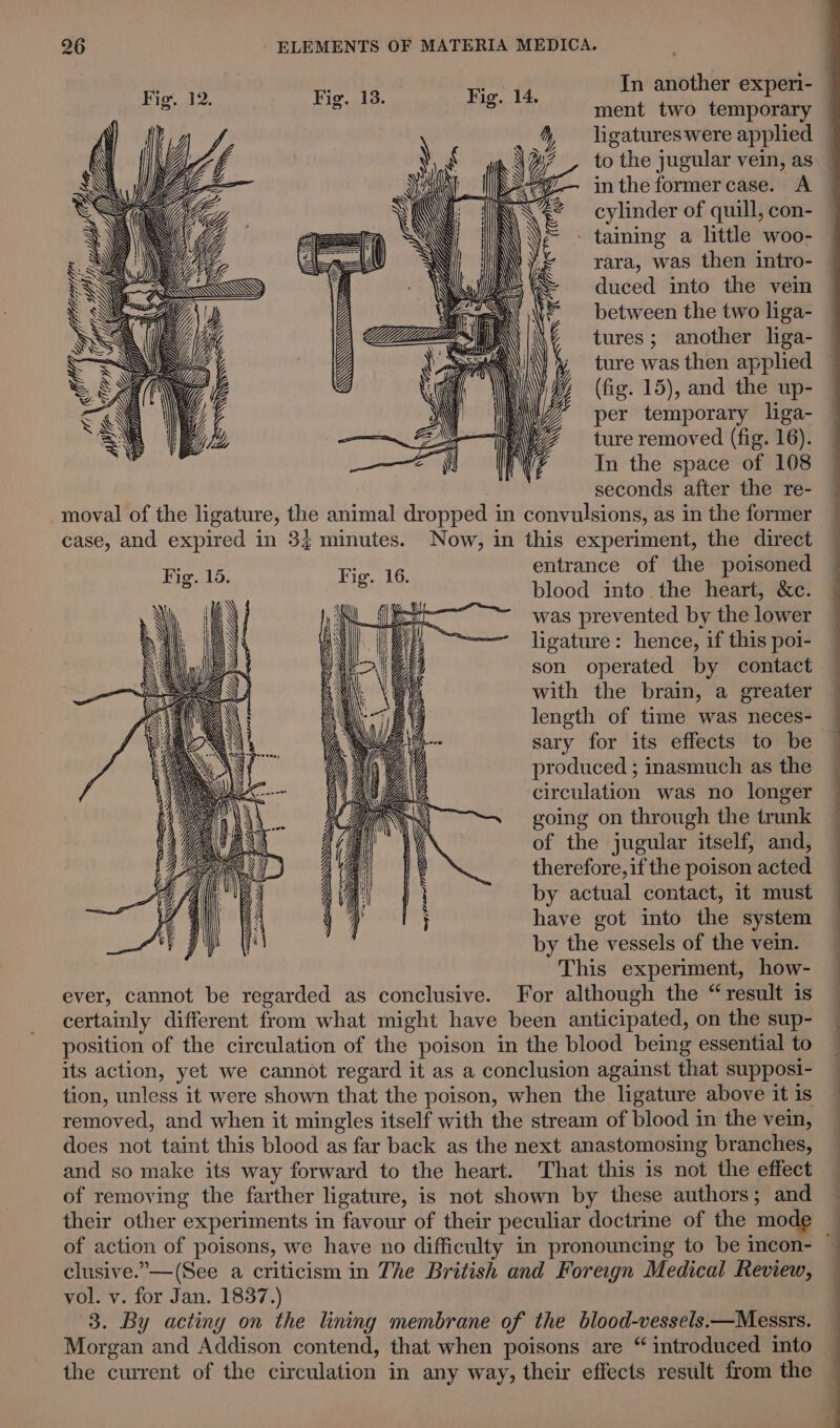 In another experi-_ snes aha fs Fig. 14. Fig. 12 He wle 8 ment two temporary ) (\ I Jd /, : pil ligatures were applied 4 \  YE b to the jugular vein, as SA I) 2 = in the former case. A a G [G cylinder of quill, con- ; N Ve - taining a little woo- oy i) @ We rara, was then intro- WN Be KS Ws Xi duced into the vein . US a/\'b ZN between the two liga- s S IK Vi fl AN \\ tures; another liga- &lt;= on Y mA \\ I \ ture was then applied LS (Ma\ 7 INA (fig. 15), and the up- EW iF L y jy per temporary liga- Sn] WZ ‘4 | i ture removed (fig. 16). In the space of 108 : seconds after the re- moval of the ligature, the animal dropped in convulsions, as in the former case, and expired in 34 minutes. Now, in this experiment, the direct Fie. 15. Fie. 16. entrance of the poisoned 8 '8 blood into the heart, &amp;c. i 2 : i iN : x was prevented by the lower it \ a } OD —~———_ ligature: hence, if this poi- AD R uy A Us) son operated by contact aN) \ i \ a with the brain, a greater \ A) Oy length of time was neces- a i . - sary for its effects to be produced ; inasmuch as the circulation was no longer going on through the trunk of the jugular itself, and, therefore, if the poison acted y 4 | ( y by actual contact, it must ~~ i have got into the system 2m en by the vessels of the vein. This experiment, how- ever, cannot be regarded as conclusive. For although the “result is certainly different from what might have been anticipated, on the sup- position of the circulation of the poison in the blood being essential to its action, yet we cannot regard it as a conclusion against that supposi- tion, unless it were shown that the poison, when the ligature above it is removed, and when it mingles itself with the stream of blood in the vein, does not taint this blood as far back as the next anastomosing branches, and so make its way forward to the heart. That this is not the effect of removing the farther ligature, is not shown by these authors; and their other experiments in favour of their peculiar doctrine of the mo of action of poisons, we have no difficulty in pronouncing to be incon- — clusive.”—(See a criticism in The British and Foreign Medical Review, vol. v. for Jan. 1837.) 3. By acting on the lining membrane of the blood-vessels.—Messrs. Morgan and Addison contend, that when poisons are “ introduced into — the current of the circulation in any way, their effects result from the