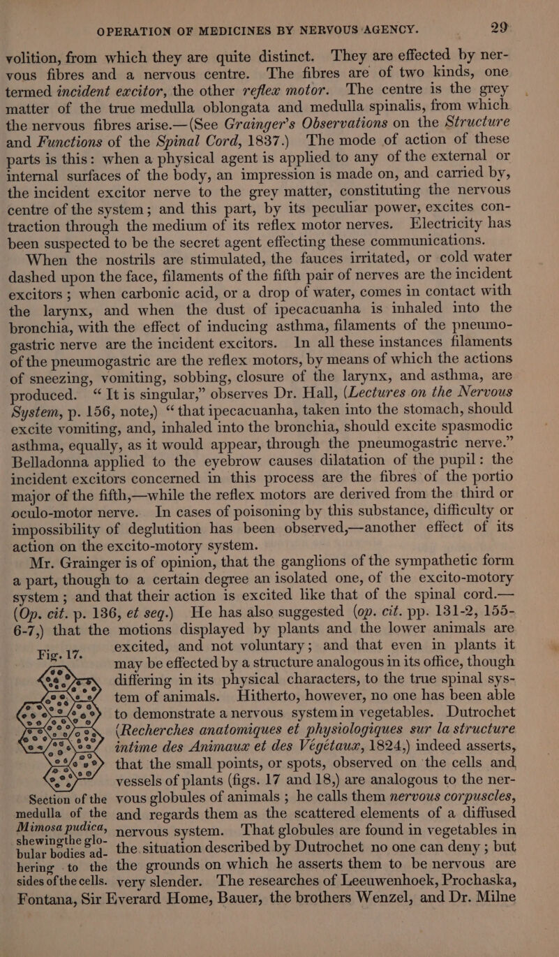 yolition, from which they are quite distinct. They are effected by ner- vous fibres and a nervous centre. The fibres are of two kinds, one termed incident excitor, the other reflex motor. The centre is the grey matter of the true medulla oblongata and medulla spinalis, from which the nervous fibres arise.—(See Grainger’s Observations on the Structure and Functions of the Spinal Cord, 1837.) The mode of action of these parts is this: when a physical agent is applied to any of the external or internal surfaces of the body, an impression is made on, and carried by, the incident excitor nerve to the grey matter, constituting the nervous centre of the system; and this part, by its peculiar power, excites con- traction through the medium of its reflex motor nerves. Electricity has been suspected to be the secret agent effecting these communications. When the nostrils are stimulated, the fauces irritated, or cold water dashed upon the face, filaments of the fifth pair of nerves are the incident excitors ; when carbonic acid, or a drop of water, comes in contact with the larynx, and when the dust of ipecacuanha is inhaled into the bronchia, with the effect of inducing asthma, filaments of the pneumo- gastric nerve are the incident excitors. In all these instances filaments of the pneumogastric are the reflex motors, by means of which the actions of sneezing, vomiting, sobbing, closure of the larynx, and asthma, are produced. “ It is singular,” observes Dr. Hall, (Lectures on the Nervous System, p. 156, note,) “ that ipecacuanha, taken into the stomach, should excite vomiting, and, inhaled into the bronchia, should excite spasmodic asthma, equally, as it would appear, through the pneumogastric nerve.” Belladonna applied to the eyebrow causes dilatation of the pupil: the incident excitors concerned in this process are the fibres of the portio major of the fifth,—while the reflex motors are derived from the third or oculo-motor nerve. In cases of poisoning by this substance, difficulty or impossibility of deglutition has been observed,—another effect of its action on the excito-motory system. Mr. Grainger is of opinion, that the ganglions of the sympathetic form a part, though to a certain degree an isolated one, of the excito-motory system ; and that their action is excited like that of the spinal cord.— (Op. cit. p. 136, et seg.) He has also suggested (op. cit. pp. 131-2, 155- 6-7,) that the motions displayed by plants and the lower animals are Fig. 17. excited, and not voluntary; and that even in plants it may be effected by a structure analogous in its office, though differing in its physical characters, to the true spinal sys- tem of animals. Hitherto, however, no one has been able to demonstrate a nervous systemin vegetables. Dutrochet (Recherches anatomiques et physiologiques sur la structure intime des Animausx et des Végetaus, 1824,) indeed asserts, that the small points, or spots, observed on ‘the cells and vessels of plants (figs. 17 and 18,) are analogous to the ner- Section of the vous globules of animals ; he calls them nervous corpuscles, medulla of the and regards them as the scattered elements of a diffused Mimosa pudica, nervous system. That globules are found in vegetables in _shewingthe glo- : Y ‘ 5 bular bodies ad. the. situation described by Dutrochet no one can deny ; but hering to the the grounds on which he asserts them to be nervous are sides of thecells. yery slender. The researches of Leeuwenhoek, Prochaska, Fontana, Sir Everard Home, Bauer, the brothers Wenzel, and Dr. Milne