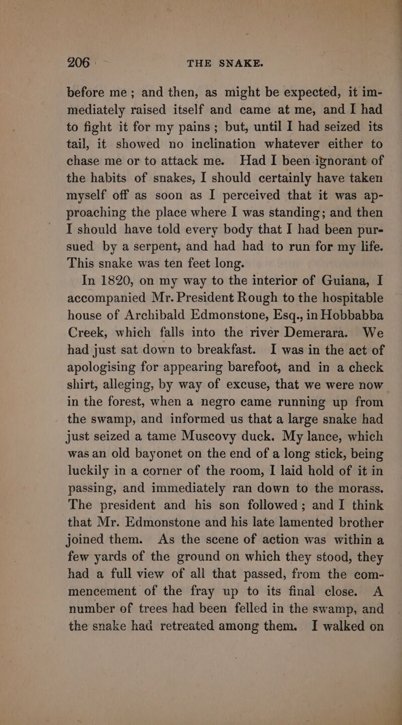 before me; and then, as might be expected, it im- mediately raised itself and came at me, and I had to fight it for my pains; but, until I had seized its tail, it showed no inclination whatever either to chase me or to attack me. Had I been ignorant of the habits of snakes, I should certainly have taken myself off as soon as I perceived that it was ap- proaching the place where I was standing; and then I should have told every body that I had been pur- sued by a serpent, and had had to run for my life. This snake was ten feet long. In 1820, on my way to the interior of Guiana, I accompanied Mr. President Rough to the hospitable house of Archibald Edmonstone, Esq., in Hobbabba Creek, which falls into the river Demerara. We had just sat down to breakfast. I was in the act of apologising for appearing barefoot, and in a check shirt, alleging, by way of excuse, that we were now in the forest, when a negro came running up from the swamp, and informed us that a large snake had just seized a tame Muscovy duck. My lance, which was an old bayonet on the end of a long stick, being luckily in a corner of the room, I laid hold of it in passing, and immediately ran down to the morass. The president and his son followed; and I think that Mr. Edmonstone and his late lamented brother joined them. As the scene of action was within a few yards of the ground on which they stood, they had a full view of all that passed, from the com- mencement of the fray up to its final close. A number of trees had been felled in the swamp, and the snake haa retreated among them. I walked on