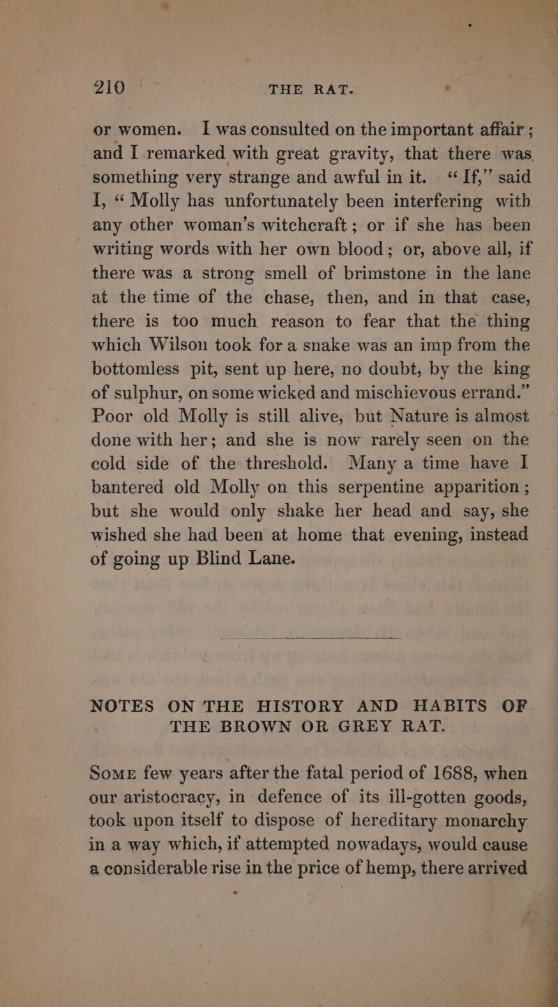 PAM 2 THE RAT. or women. I was consulted on the important affair ; and I remarked with great gravity, that there was. something very strange and awful in it. “If,” said I, “ Molly has unfortunately been interfering with any other woman’s witchcraft ; or if she has been writing words with her own blood; or, above all, if there was a strong smell of brimstone in the lane at the time of the chase, then, and in that case, there is too much reason to fear that the thing which Wilson took for a snake was an imp from the bottomless pit, sent up here, no doubt, by the king of sulphur, on some wicked and mischievous errand.” Poor old Molly is still alive, but Nature is almost done with her; and she is now rarely seen on the cold side of the threshold. Many a time have I bantered old Molly on this serpentine apparition ; but she would only shake her head and say, she wished she had been at home that evening, instead of going up Blind Lane. NOTES ON THE HISTORY AND HABITS OF THE BROWN OR GREY RAT. Some few years after the fatal period of 1688, when our aristocracy, in defence of its ill-gotten goods, took upon itself to dispose of hereditary monarchy in a way which, if attempted nowadays, would cause 2, considerable rise in the price of hemp, there arrived