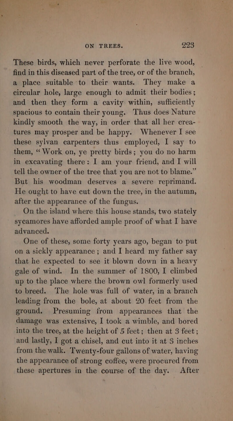 These birds, which never perforate the live wood, find in this diseased part of the tree, or of the branch, a place suitable to their wants. They make a circular hole, large enough to admit their bodies ; and then they form a cavity within, sufficiently spacious to contain their young. ‘Thus does Nature kindly smooth the way, in order that all her crea- tures may prosper and be happy. Whenever I see these sylvan carpenters thus employed, I say to them, “ Work on, ye pretty birds; you do no harm in excavating there: I am your friend, and I will tell the owner of the tree that you are not to blame.” But his woodman deserves a severe reprimand. He ought to have cut down the tree, in the autumn, after the appearance of the fungus. On the island where this house stands, two stately sycamores have afforded ample proof of what I have advanced. One of these, some forty years ago, began to put on a sickly appearance ; and I heard my father say that he expected to see it blown down in a heavy gale of wind. In the summer of 1800, I climbed up to the place where the brown owl formerly used to breed. ‘The hole was full of water, in a branch leading from the bole, at about 20 feet from the ground. Presuming from appearances that the damage was extensive, I took a wimble, and bored into the tree, at the height of 5 feet; then at 3 feet ; and lastly, I got a chisel, and cut into it at 5 inches from the walk. Twenty-four gailons of water, having the appearance of strong coffee, were procured from these apertures in the course of the day. After