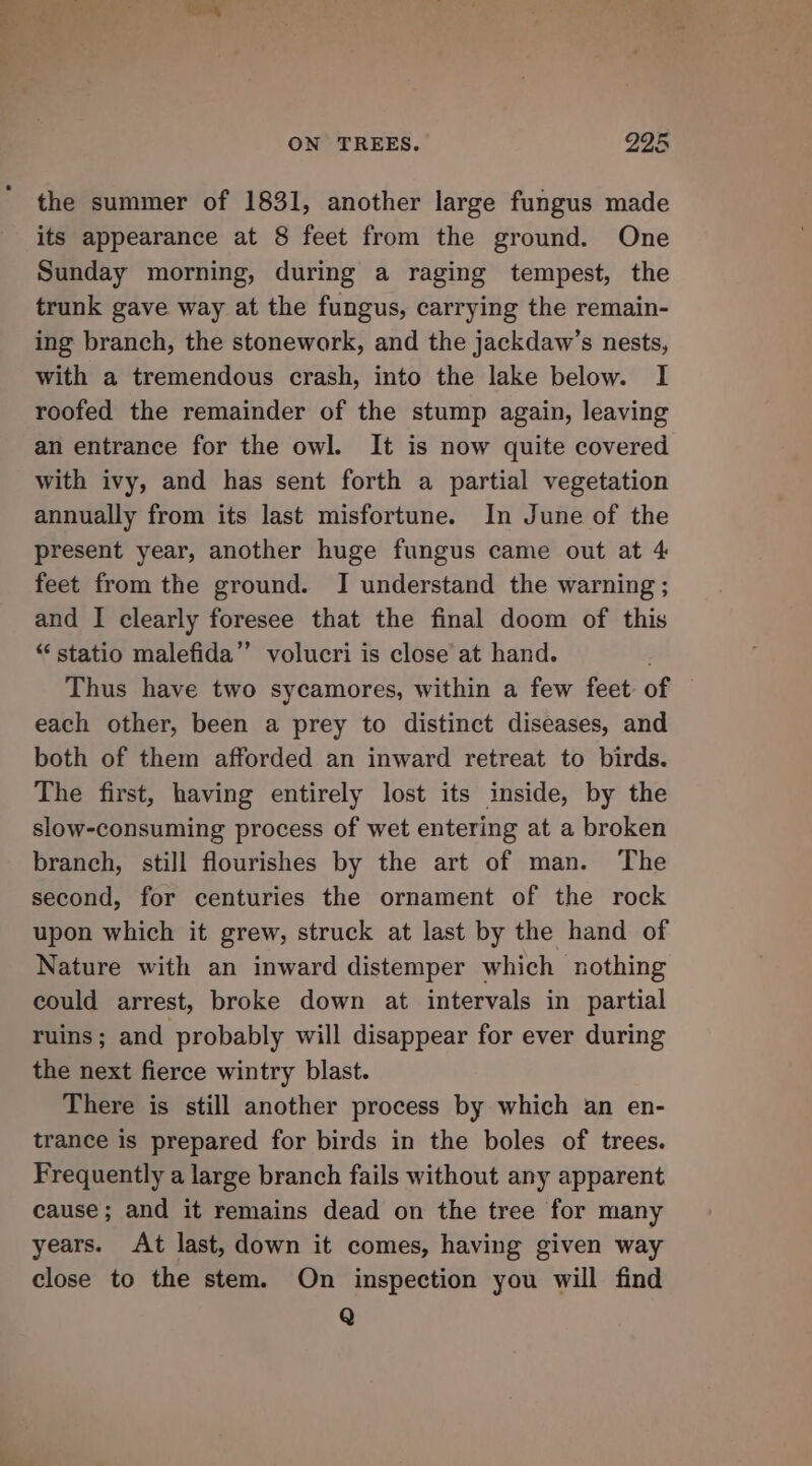 the summer of 1831, another large fungus made its appearance at 8 feet from the ground. One Sunday morning, during a raging tempest, the trunk gave way at the fungus, carrying the remain- ing branch, the stonework, and the jackdaw’s nests, with a tremendous crash, into the lake below. I roofed the remainder of the stump again, leaving an entrance for the owl. It is now quite covered with ivy, and has sent forth a partial vegetation annually from its last misfortune. In June of the present year, another huge fungus came out at 4 feet from the ground. I understand the warning; and I clearly foresee that the final doom of this “ statio malefida” volucri is close at hand. . Thus have two sycamores, within a few feet. of each other, been a prey to distinct diseases, and both of them afforded an inward retreat to birds. The first, having entirely lost its inside, by the slow-consuming process of wet entering at a broken branch, still flourishes by the art of man. The second, for centuries the ornament of the rock upon which it grew, struck at last by the hand of Nature with an inward distemper which nothing could arrest, broke down at intervals in partial ruins; and probably will disappear for ever during the next fierce wintry blast. There is still another process by which an en- trance is prepared for birds in the boles of trees. Frequently a large branch fails without any apparent cause; and it remains dead on the tree for many years. At last, down it comes, having given way close to the stem. On inspection you will find Q