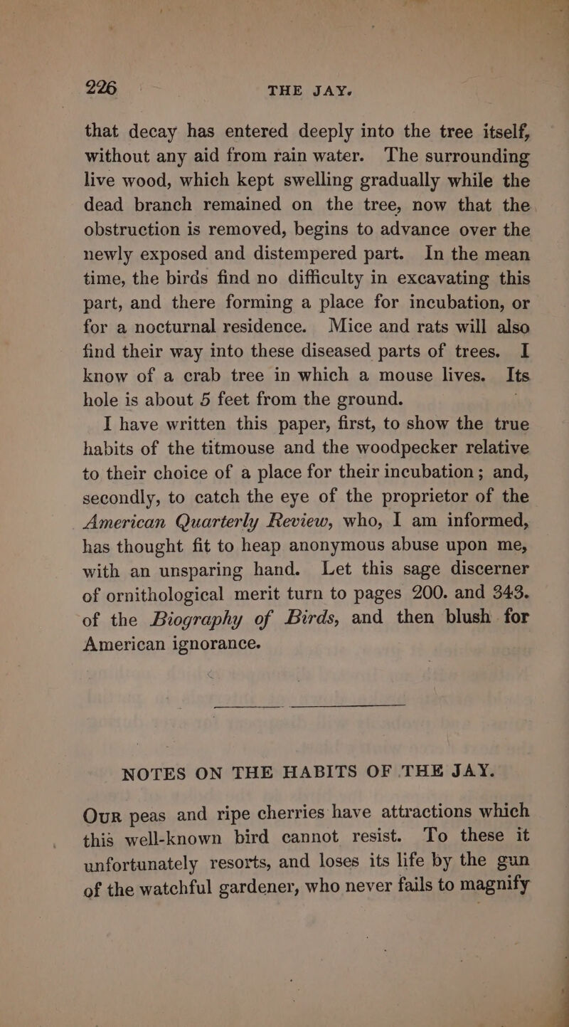 that decay has entered deeply into the tree itself, without any aid from rain water. The surrounding live wood, which kept swelling gradually while the dead branch remained on the tree, now that the obstruction is removed, begins to advance over the newly exposed and distempered part. In the mean time, the birds find no difficulty in excavating this part, and there forming a place for incubation, or for a nocturnal residence. Mice and rats will also find their way into these diseased parts of trees, I know of a crab tree in which a mouse lives. Its hole is about 5 feet from the ground. I have written this paper, first, to show the true habits of the titmouse and the woodpecker relative to their choice of a place for their incubation ; and, secondly, to catch the eye of the proprietor of the American Quarterly Review, who, I am informed, has thought fit to heap anonymous abuse upon me, with an unsparing hand. Let this sage discerner of ornithological merit turn to pages 200. and 343. of the Biography of Birds, and then blush for American ignorance. NOTES ON THE HABITS OF THE JAY. Our peas and ripe cherries have attractions which this well-known bird cannot resist. To these it unfortunately resorts, and loses its life by the gun of the watchful gardener, who never fails to magnify