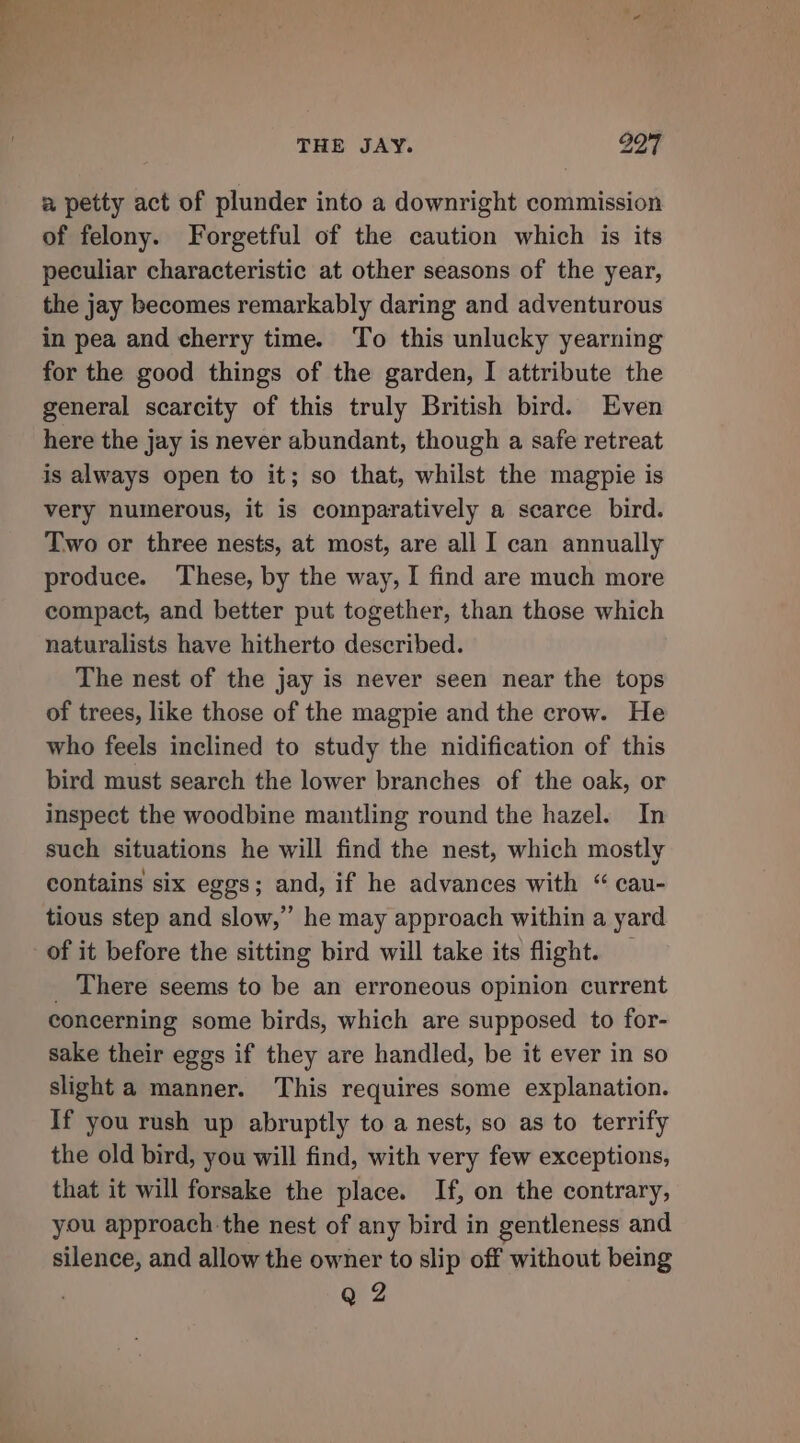 a petty act of plunder into a downright commission of felony. Forgetful of the caution which is its peculiar characteristic at other seasons of the year, the jay becomes remarkably daring and adventurous in pea and cherry time. To this unlucky yearning for the good things of the garden, I attribute the general scarcity of this truly British bird. Even here the jay is never abundant, though a safe retreat is always open to it; so that, whilst the magpie is very numerous, it is comparatively a scarce bird. Two or three nests, at most, are all I can annually produce. These, by the way, I find are much more compact, and better put together, than those which naturalists have hitherto described. The nest of the jay is never seen near the tops of trees, like those of the magpie and the crow. He who feels inclined to study the nidification of this bird must search the lower branches of the oak, or inspect the woodbine mantling round the hazel. In such situations he will find the nest, which mostly contains six eggs; and, if he advances with “ cau- tious step and slow,’ he may approach within a yard of it before the sitting bird will take its flight. _ There seems to be an erroneous opinion current concerning some birds, which are supposed to for- sake their eggs if they are handled, be it ever in so slight a manner. This requires some explanation. If you rush up abruptly to a nest, so as to terrify the old bird, you will find, with very few exceptions, that it will forsake the place. If, on the contrary, you approach. the nest of any bird in gentleness and silence, and allow the owner to slip off without being Q 2