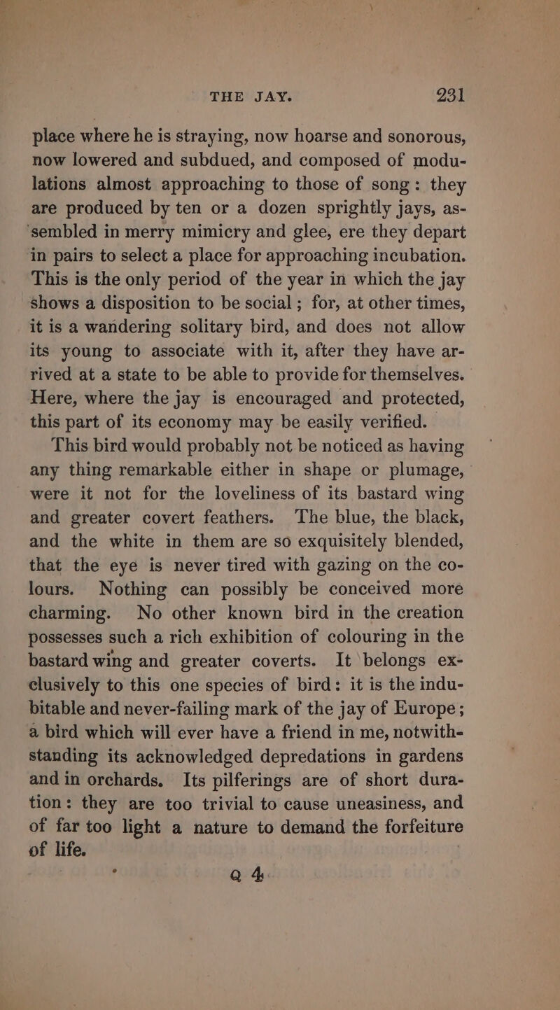 place where he is straying, now hoarse and sonorous, now lowered and subdued, and composed of modu- lations almost approaching to those of song: they are produced by ten or a dozen sprightly jays, as- ‘sembled in merry mimicry and glee, ere they depart in pairs to select a place for approaching incubation. This is the only period of the year in which the jay shows a disposition to be social; for, at other times, it is a wandering solitary bird, and does not allow its young to associate with it, after they have ar- rived at a state to be able to provide for themselves. Here, where the jay is encouraged and protected, this part of its economy may be easily verified. | This bird would probably not be noticed as having any thing remarkable either in shape or plumage, were it not for the loveliness of its bastard wing and greater covert feathers. The blue, the black, and the white in them are so exquisitely blended, that the eye is never tired with gazing on the co- lours. Nothing can possibly be conceived more charming. No other known bird in the creation possesses such a rich exhibition of colouring in the bastard wing and greater coverts. It belongs ex- clusively to this one species of bird: it is the indu- bitable and never-failing mark of the jay of Europe; a bird which will ever have a friend in me, notwith- standing its acknowledged depredations in gardens and in orchards. Its pilferings are of short dura- tion: they are too trivial to cause uneasiness, and of far too light a nature to demand the forfeiture of life. | r Q 4