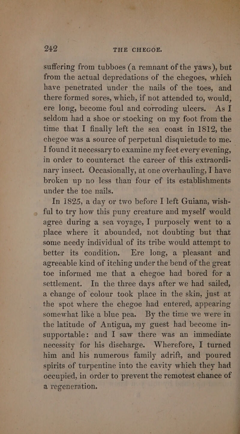 *» rc , ¥ . hb r i ae 24.2 THE CHEGOE. suffering from tubboes (a remnant of the yaws), but from the actual depredations of the chegoes, which have penetrated under the nails of the toes, and there formed sores, which, if not attended to, would, ere long, become foul and corroding ulcers. As I seldom had a shoe or stocking on my foot from the time that I finally left the sea coast in 1812, the chegoe was a source of perpetual disquietude to me. I found it necessary to examine my feet every evening, in order to counteract the career of this extraordi- nary insect. Occasionally, at one overhauling, I have broken up no less than four ef its establishments under the toe nails. In 1825, a day or two before I left Guiana, wish- , ful to try how this puny creature and myself would agree during a sea voyage, I purposely went to a place where it abounded, not doubting but that some needy individual of its tribe would attempt to better its condition. Ere long, a pleasant and agreeable kind of itching under the bend of the great toe informed me that a chegoe had bored for a settlement. In the three days after we had sailed, a change of colour took place in the skin, just at the spot where the chegoe had entered, appearing somewhat like a blue pea. By the time we were in the latitude of Antigua, my guest had become in- supportable: and I saw there was an immediate necessity for his discharge. Wherefore, I turned him and his numerous family adrift, and poured spirits of turpentine into the cavity which they had occupied, in order to prevent the remotest chance of a regeneration.