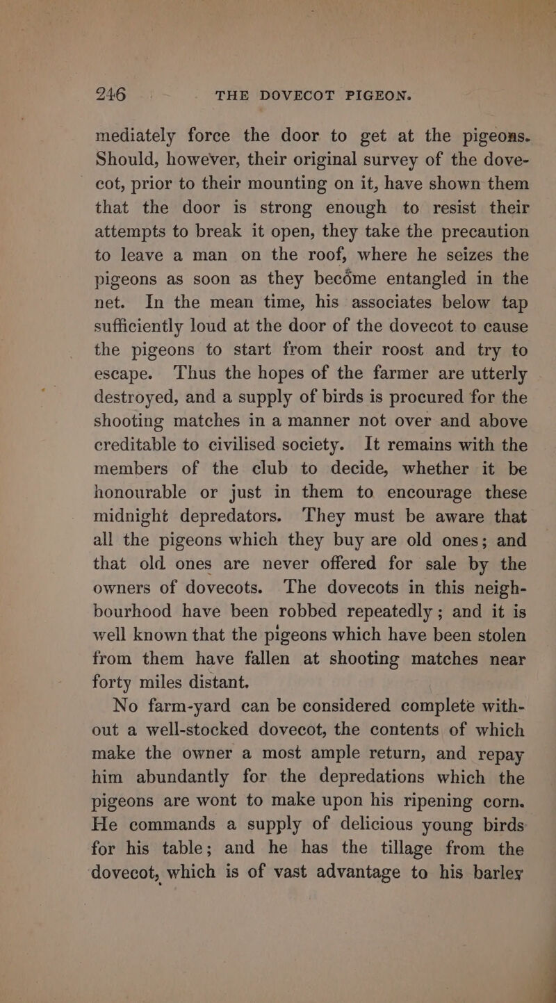 mediately force the door to get at the pigeons. Should, however, their original survey of the dove- cot, prior to their mounting on it, have shown them that the door is strong enough to resist their attempts to break it open, they take the precaution to leave a man on the roof, where he seizes the pigeons as soon as they becéme entangled in the net. In the mean time, his associates below tap sufficiently loud at the door of the dovecot to cause the pigeons to start from their roost and try to escape. Thus the hopes of the farmer are utterly destroyed, and a supply of birds is procured for the shooting matches in a manner not over and above creditable to civilised society. It remains with the members of the club to decide, whether it be honourable or just in them to encourage these midnight depredators. They must be aware that all the pigeons which they buy are old ones; and that old ones are never offered for sale by the owners of dovecots. The dovecots in this neigh- bourhood have been robbed repeatedly ; and it is well known that the pigeons which have been stolen from them have fallen at shooting matches near forty miles distant. No farm-yard can be considered complete with- out a well-stocked dovecot, the contents of which make the owner a most ample return, and repay him abundantly for the depredations which the pigeons are wont to make upon his ripening corn. He commands a supply of delicious young birds for his table; and he has the tillage from the dovecot, which is of vast advantage to his barley