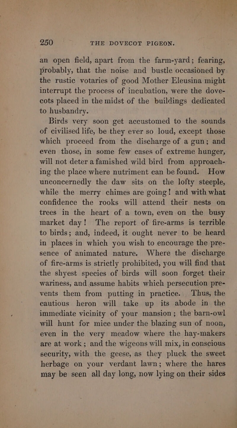 an open field, apart from the farm-yard; fearing, probably, that the noise and bustle occasioned by the rustic votaries of good Mother Eleusina might interrupt the process of incubation, were the dove- cots placed in the midst of the buildings dedicated to husbandry. Birds very soon get accustomed to the sounds of civilised life, be they ever so loud, except those which proceed from the discharge of a gun; and even those, in some few cases of extreme hunger, will not deter a famished wild bird from approach- ing the place where nutriment can be found. How unconcernedly the daw sits on the lofty steeple, while the merry chimes are going! and with what confidence the rooks will attend their nests on trees in the heart of a town, even on the busy market day! The report of fire-arms is terrible to birds; and, indeed, it ought never to be heard in places in which you wish to encourage the pre- sence of animated nature. Where the discharge of fire-arms is strictly prohibited, you will find that the shyest species of birds will soon forget their wariness, and assume habits which persecution pre- vents them from putting in practice.. Thus, the cautious heron will take up its abode in the immediate vicinity of your mansion; the barn-owl will hunt for mice under the blazing sun of noon, even in the very meadow where the hay-makers are at work; and the wigeons will mix, in conscious security, with the geese, as they pluck the sweet herbage on your verdant lawn; where the hares may be seen all day long, now lying on their sides