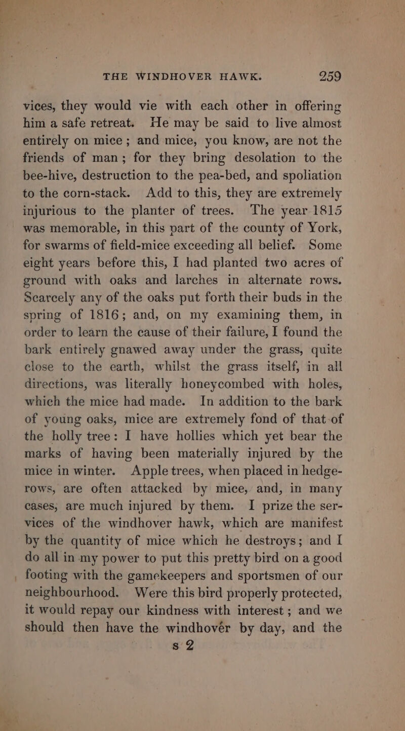 vices, they would vie with each other in offering him a safe retreat. He may be said to live almost entirely on mice; and mice, you know, are not the friends of man; for they bring desolation to the bee-hive, destruction to the pea-bed, and spoliation to the corn-stack. Add to this, they are extremely injurious to the planter of trees. The year 1815 was memorable, in this part of the county of York, for swarms of field-mice exceeding all belief. Some eight years before this, I had planted two acres of ground with oaks and larches in alternate rows. Searcely any of the oaks put forth their buds in the spring of 1816; and, on my examining them, in order to learn the cause of their failure, I found the bark entirely gnawed away under the grass, quite close to the earth, whilst the grass itself, in all directions, was literally honeycombed with holes, which the mice had made. In addition to the bark of young oaks, mice are extremely fond of that of the holly tree: I have hollies which yet bear the marks of having been materially injured by the mice in winter. Apple trees, when placed in hedge- rows, are often attacked by mice, and, in many cases, are much injured by them. I prize the ser- vices of the windhover hawk, which are manifest by the quantity of mice which he destroys; and I do all in my power to put this pretty bird on a good neighbourhood. Were this bird properly protected, it would repay our kindness with interest ; and we should then have the windhover by day, and the s 2