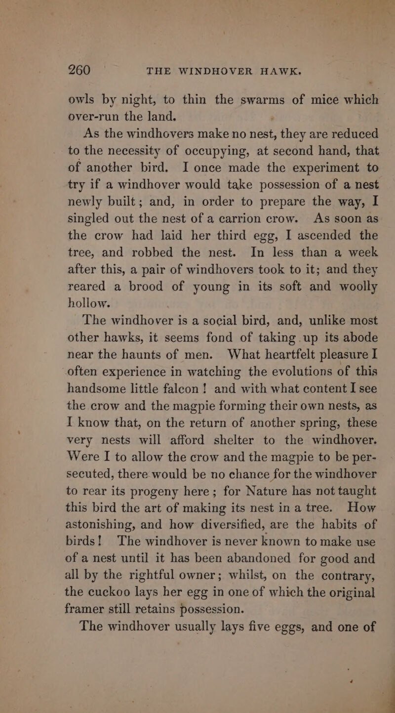 owls by night, to thin the swarms of mice which over-run the land. ; As the windhovers make no nest, they are reduced to the necessity of occupying, at second hand, that of another bird. I once made the experiment to try if a windhover would take possession of a nest newly built; and, in order to prepare the way, I singled out the nest of a carrion crow. As soon as the crow had laid her third egg, I ascended the tree, and robbed the nest. In less than a week after this, a pair of windhovers took to it; and they reared a brood of young in its soft and woolly hollow. The windhover is a social bird, and, unlike most other hawks, it seems fond of taking .up its abode near the haunts of men. What heartfelt pleasure I often experience in watching the evolutions of this handsome little falcon! and with what content I see the crow and the magpie forming their own nests, as I know that, on the return of another spring, these very nests will afford shelter to the windhover. Were I to allow the crow and the magpie to be per- secuted, there would be no chance for the windhover to rear its progeny here; for Nature has not taught this bird the art of making its nest ina tree. How astonishing, and how diversified, are the habits of birds! The windhover is never known to make use of a nest until it has been abandoned for good and all by the rightful owner; whilst, on the contrary, the cuckoo lays her egg in one of which the original framer still retains possession. The windhover usually lays five eggs, and one of