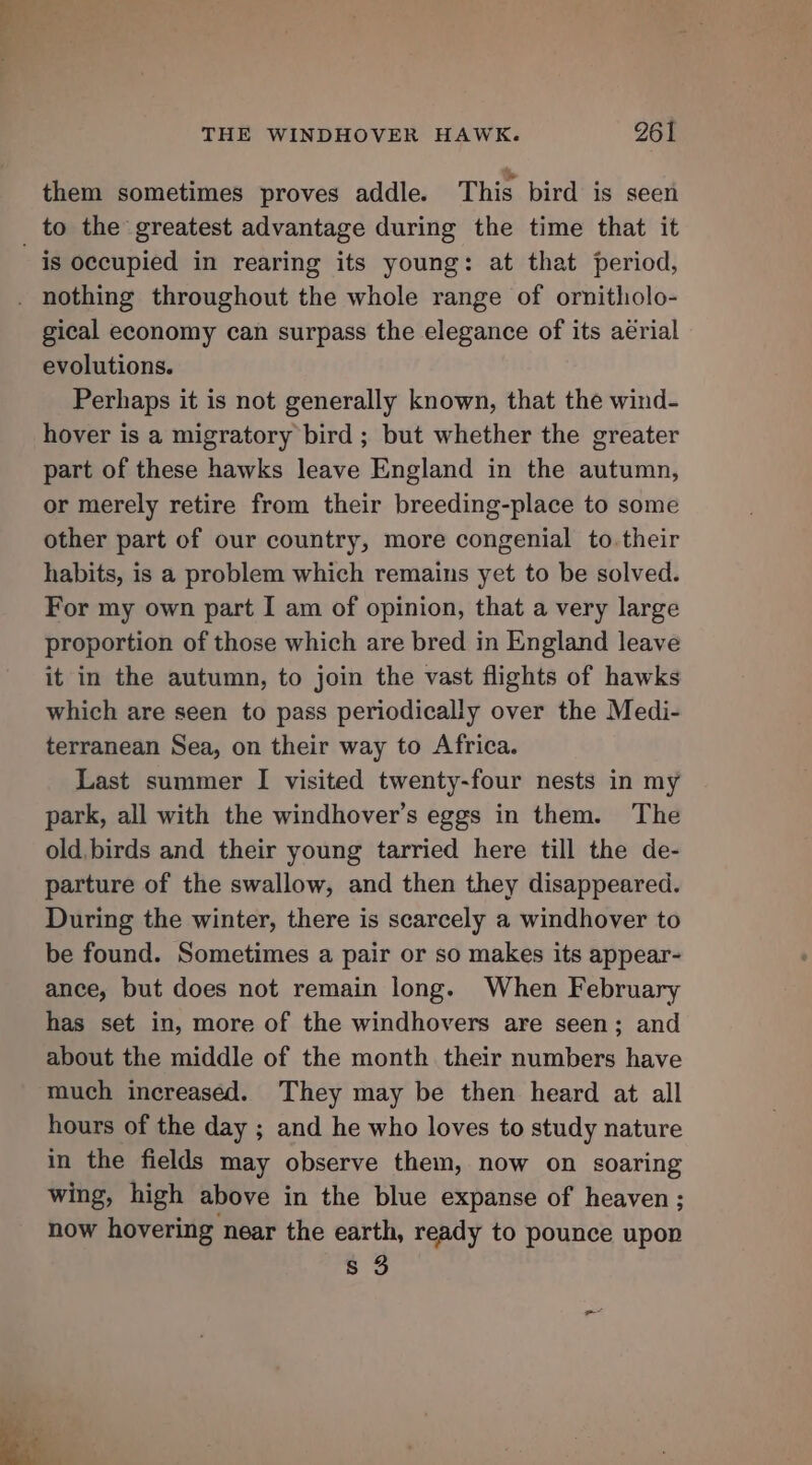 them sometimes proves addle. This bird is seen is occupied in rearing its young: at that period, gical economy can surpass the elegance of its aérial evolutions. Perhaps it is not generally known, that the wind- hover is a migratory bird ; but whether the greater part of these hawks leave England in the autumn, or merely retire from their breeding-place to some other part of our country, more congenial to.their habits, is a problem which remains yet to be solved. For my own part I am of opinion, that a very large proportion of those which are bred in England leave it in the autumn, to join the vast flights of hawks which are seen to pass periodically over the Medi- terranean Sea, on their way to Africa. Last summer I visited twenty-four nests in my park, all with the windhover’s eggs in them. The old. birds and their young tarried here till the de- parture of the swallow, and then they disappeared. During the winter, there is scarcely a windhover to be found. Sometimes a pair or so makes its appear- ance, but does not remain long. When February has set in, more of the windhovers are seen; and about the middle of the month their numbers have much increased. They may be then heard at all hours of the day ; and he who loves to study nature in the fields may observe them, now on soaring wing, high above in the blue expanse of heaven; now hovering near the earth, ready to pounce upon s 3