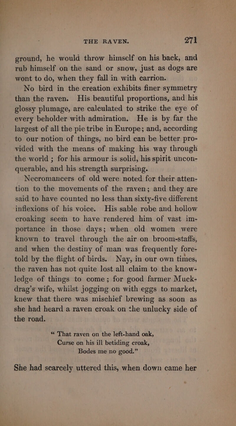 ground, he would throw himself on his back, and rub himself on the sand or snow, just as dogs are wont to do, when they fall in with carrion. No bird in the creation exhibits finer symmetry than the raven. His beautiful proportions, and his glossy plumage, are calculated to strike the eye of every beholder with admiration. He is by far the largest: of all the pie tribe in Europe; and, according to our notion of things, no bird can be better pro- vided with the means of making his way through the world ; for his armour is solid, his spirit uncon- querable, and his strength surprising. Necromancers of old were noted for their atten- tion to the movements of the raven; and they are said to have counted no less than sixty-five different inflexions of his voice. His sable robe and hollow croaking seem to have rendered him of vast im- portance in those days; when old women were known to travel through the air on broom-staffs, and when the destiny of man was frequently fore- told by the flight of birds. Nay, in our own times, the raven has not quite lost all claim to the know- ledge of things to come; for good farmer Muck- drag’s wife, whilst jogging on with eggs to market, knew that there was mischief brewing as soon as she had heard a raven croak on the unlucky side of the road. “ That raven on the left-hand oak, Curse on his ill betiding croak, Bodes me no good.” She had scarcely uttered this, when down came her