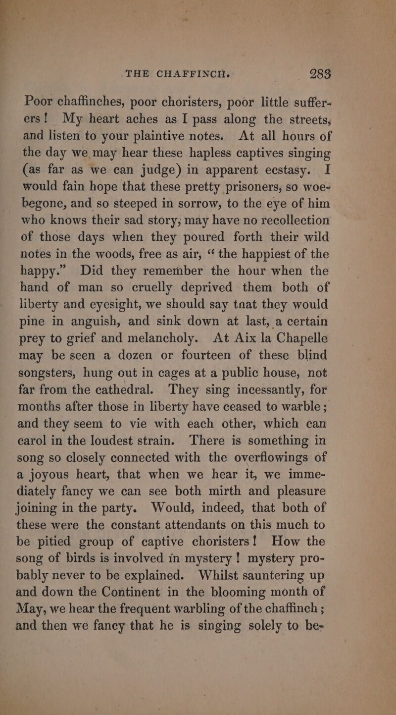 Poor chaffinches, poor choristers, poor little suffer- ers! My heart aches as I pass along the streets, and listen to your plaintive notes. At all hours of the day we may hear these hapless captives singing (as far as we can judge) in apparent ecstasy. I would fain hope that these pretty prisoners, so woe- hegone, and so steeped in sorrow, to the eye of him who knows their sad story; may have no recollection of those days when they poured forth their wild notes in the woods, free as air, “‘ the happiest of the happy.” Did they remember the hour when the hand of man so cruelly deprived them both of liberty and eyesight, we should say tnat they would pine in anguish, and sink down at last, a certain prey to grief and melancholy. At Aix la Chapelle may be seen a dozen or fourteen of these blind songsters, hung out in cages at a public house, not far from the cathedral. They sing incessantly, for months after those in liberty have ceased to warble ; and they seem to vie with each other, which can carol in the loudest strain. There is something in song so closely connected with the overflowings of a joyous heart, that when we hear it, we imme- diately fancy we can see both mirth and pleasure joining in the party. Would, indeed, that both of these were the constant attendants on this much to be pitied group of captive choristers! How the song of birds is involved in mystery ! mystery pro- bably never to be explained. Whilst sauntering up and down the Continent in the blooming month of May, we hear the frequent warbling of the chaffinch ; and then we fancy that he is singing solely to be-