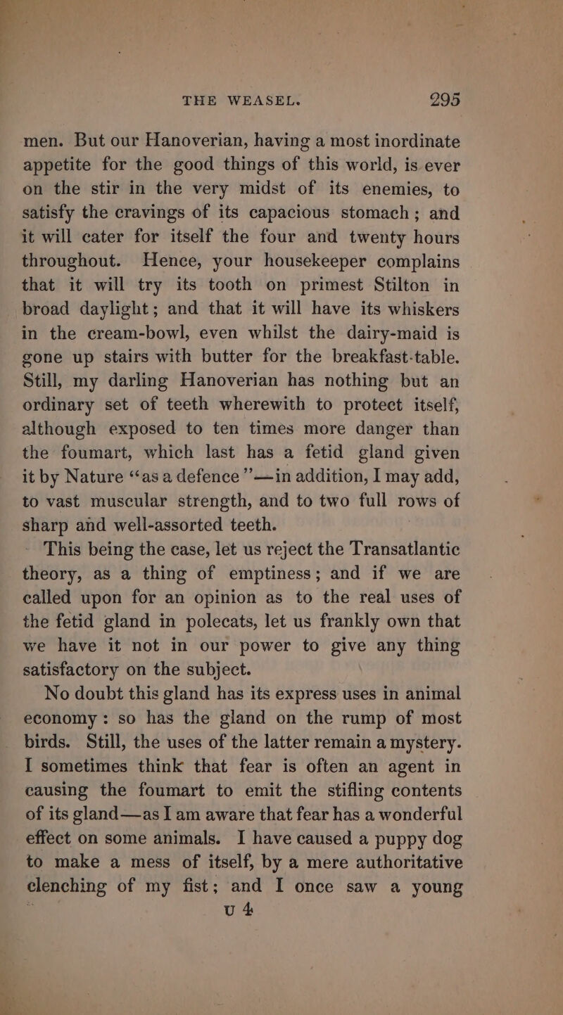 men. But our Hanoverian, having a most inordinate appetite for the good things of this world, is ever on the stir in the very midst of its enemies, to satisfy the cravings of its capacious stomach ; and it will cater for itself the four and twenty hours throughout. Hence, your housekeeper complains that it will try its tooth on primest Stilton in broad daylight; and that it will have its whiskers in the cream-bowl, even whilst the dairy-maid is gone up stairs with butter for the breakfast-table. Still, my darling Hanoverian has nothing but an ordinary set of teeth wherewith to protect itself, although exposed to ten times more danger than the foumart, which last has a fetid gland given it by Nature “as a defence ’’—in addition, I may add, to vast muscular strength, and to two full rows of sharp and well-assorted teeth. This being the case, let us reject the Transatlantic theory, as a thing of emptiness; and if we are called upon for an opinion as to the real uses of the fetid gland in polecats, let us frankly own that we have it not in our power to give any thing satisfactory on the subject. No doubt this gland has its express uses in animal economy: so has the gland on the rump of most birds. Still, the uses of the latter remain a mystery. I sometimes think that fear is often an agent in causing the foumart to emit the stifling contents of its gland—as I am aware that fear has a wonderful effect on some animals. I have caused a puppy dog to make a mess of itself, by a mere authoritative clenching of my fist; and I once saw a young U 4