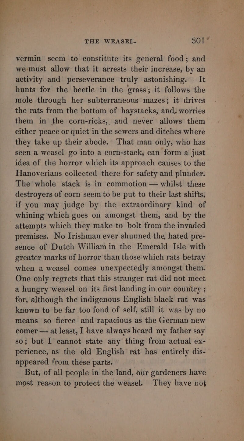 vermin seem to constitute its general food; and we must allow that it arrests their increase, by an activity and perseverance truly astonishing. It hunts for the beetle in the grass; it follows the mole through her subterraneous mazes; it drives the rats from the bottom of haystacks, and. worries them in the corn-ricks, and never allows them either peace or quiet in the sewers and ditches where they take up their abode. That man only, who has seen a weasel go into a corn-stack, can form a just idea of the horror which its approach causes to the Hanoverians collected there for safety and plunder. The whole ‘stack is in commotion — whilst these destroyers of corn seem to be put to their last shifts, if you may judge by the extraordinary kind of whining which goes on amongst them, and by the attempts which they make to bolt from the invaded premises. No Irishman ever shunned the hated pre- sence of Dutch William in the Emerald Isle with greater marks of horror than those which rats betray when a weasel comes unexpectedly amongst them. One only regrets that this stranger rat did not meet a hungry weasel on its first landing in our country ; for, although the indigenous English black rat was known to be far too fond of self, still it was by no means so fierce and rapacious as the German new comer — at least, I have always heard my father say so; but I cannot state any thing from actual ex- perience, as the old English rat has entirely dis- appeared from these parts. But, of all people in the land, our gardeners have most reason to protect the weasel. They have not