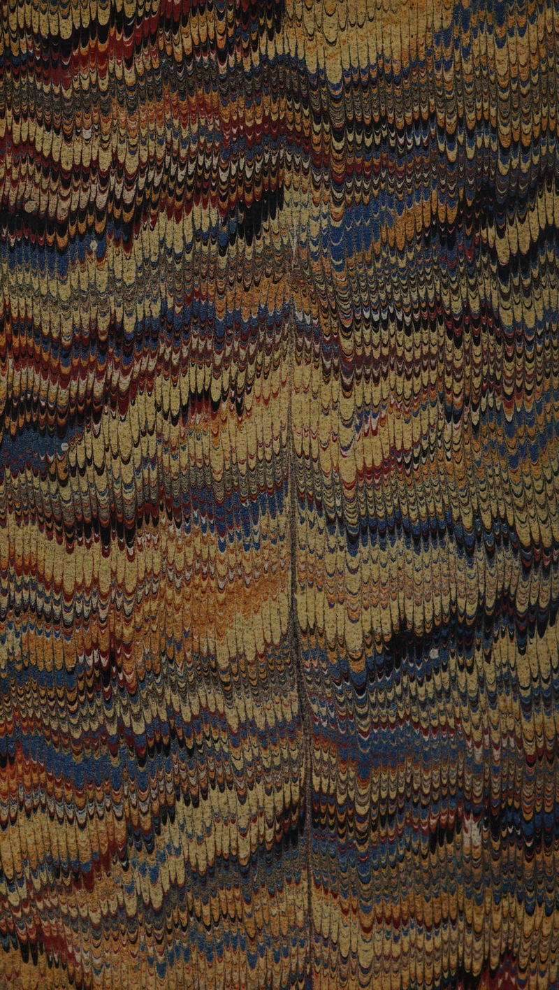 ¥ v. j Wg i IN vig! i] Wed gh ae. ¥ ipl ve” iin 4 e < re