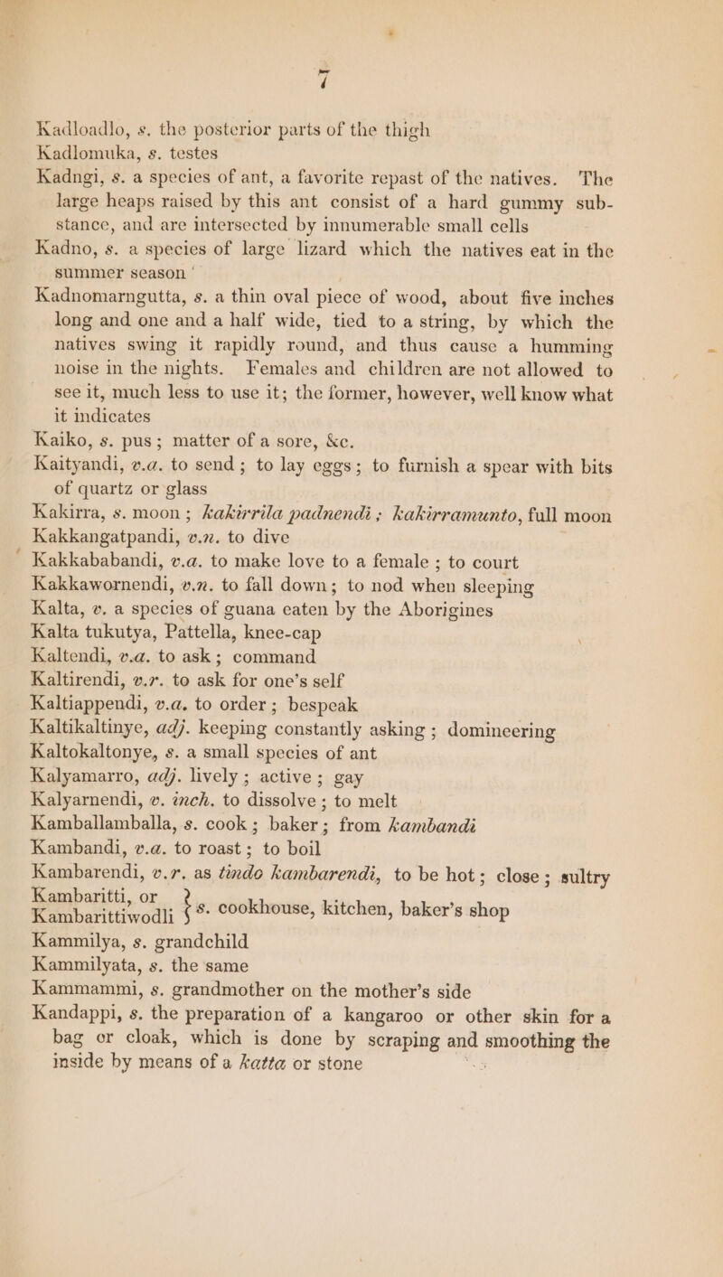 i. 1% Kadngi, s. a species of ant, a favorite repast of the natives. The large heaps raised by this ant consist of a hard gummy sub- stance, and are intersected by innumerable small cells Kadno, s. a species of large lizard which the natives eat in the summer season ° Kadnomarngutta, s. a thin oval piece of wood, about five inches long and one and a half wide, tied to a string, by which the natives swing it rapidly round, and thus cause a humming noise in the nights. Females and children are not allowed to see it, much less to use it; the former, however, well know what it indicates Kaiko, s. pus; matter of a sore, &amp;c. Kaity andi, v.a. to send ; to lay eggs; to furnish a spear with bits of quartz or glass Kakirra, s. moon; kakirrila padnendi ; kakirramunto, full moon Kakkangatpandi, v.72. to dive Kakkababandi, v.a. to make love to a female ; to court Kakkawornendi, v.7. to fall down; to nod when sleeping Kalta, v. a species of guana eaten i the Aborigines Kalta tukutya, Pattella, knee-cap Kaltendi, v.a. to ask ; peels hen Ee ttirendi, v.r. to ask for one’s self Kaltiappendi, v.a. to order ; bespeak Kaltikaltinye, adj. keeping constantly asking ; domineering Kaltokaltonye, s. a small species of ant Kalyamarro, adj. lively ; active; gay Kalyarnendi, v. ch, to dissolve ; to melt Kamballamballa, s. cook; baker; from kambandi Kambandi, v.a. to roast; to boil Kambarendi, v.7, as tendo kambarendi, to be hot; close; sultry Kambaritti, or Kambarittiwodli Kammilya, s. grandchild Kammilyata, s. the same Kammammi, s. grandmother on the mother’s side Kandappi, s. the preparation of a kangaroo or other skin for a bag or cloak, which is done by scraping and Pea the acide by means of a katta or stone bs cookhouse, kitchen, baker’s shop