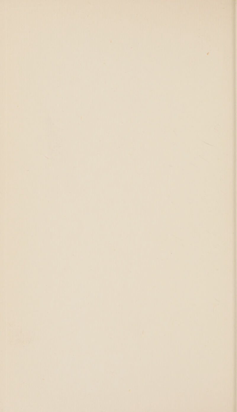 _ : nae - ° » a beets Bs eo - : # ee a - ee) ee ee ee ee ee eet SY ae