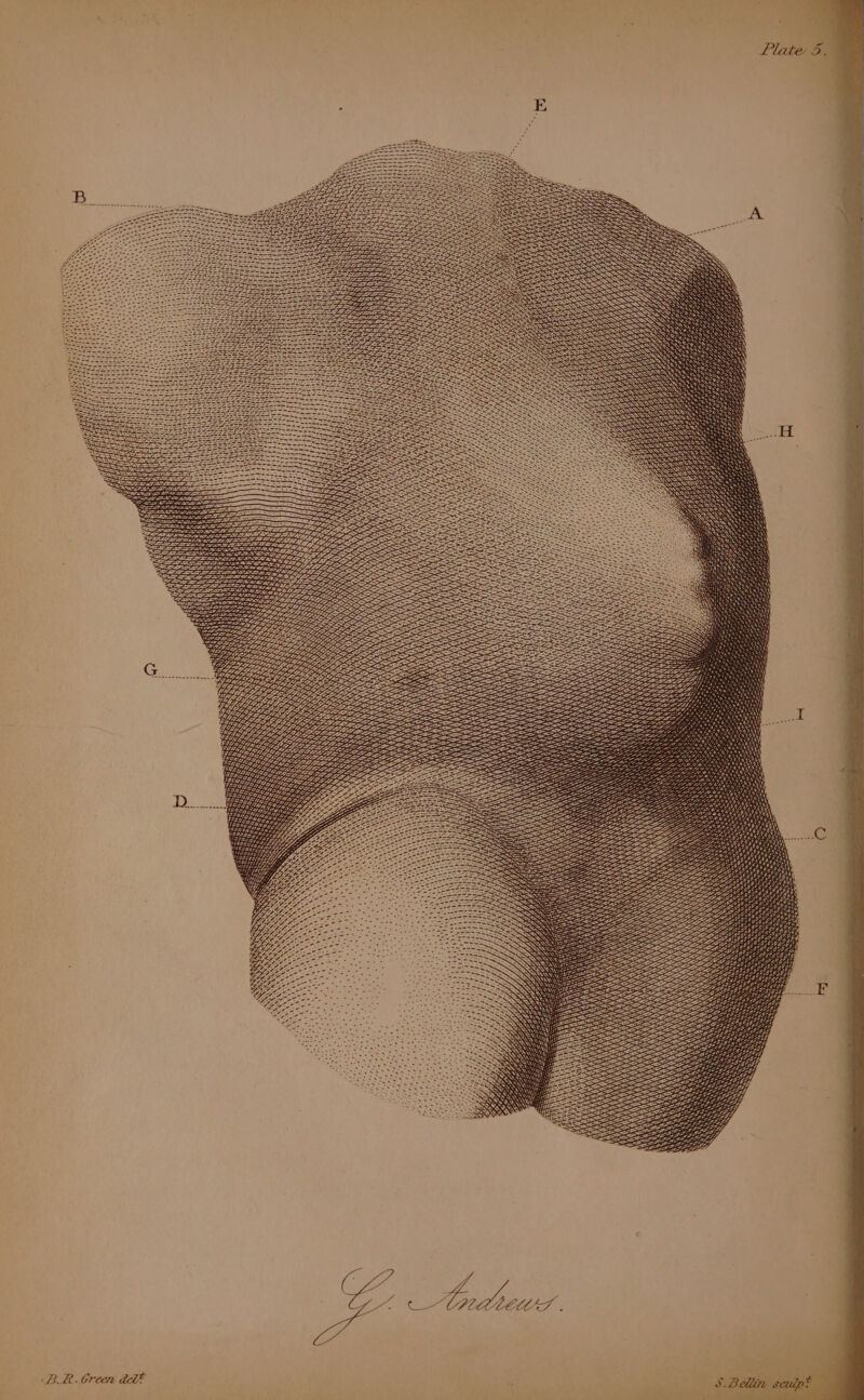 LIOOVALOLFOR LOG W pub: oi, i GUe 7 SE EZ PALA AY ON AN KK i‘ iN WW i eee SSE ss ’ ¥ AK ie Ky i i \y Ni NS Ky \ \\ \) AYN Ny A\ \ iN WN NNN NN NY \\ \ x ' n <S ‘ %, \ A) EE Ze Eee Bes oz SLE ZZ SZ SELES LLL AS si G¢4 Fe A ie \ N V Ne Ns OAR ACMA BR. Green ael* 43 SBellin x