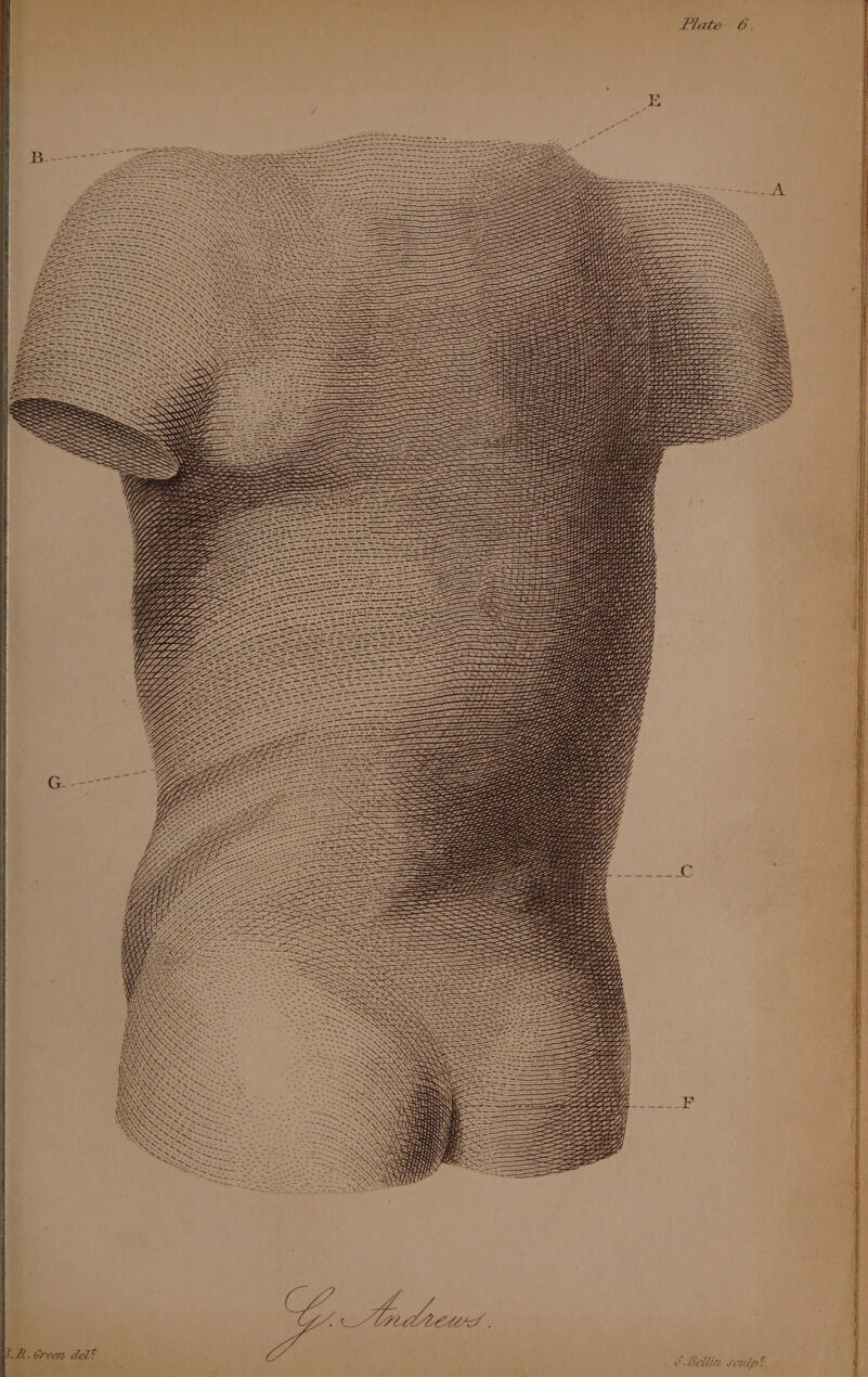 ‘ \ ‘\ aw A WY x N RNs NNS SS S NY NN y x BS aS NY AM AN AY NY \' 3 ae 222 Bee == i = see =e BasF, = 222% Sey aaa raree SS s 7 0D Ee A Ara : = re 08: beerar Br Branca =, Ss 28 LP iA PA? AAD Arca = —< ae iY SY a4P CPG a ss 4 Wr a7 ear av an eo “90G4 aed oy ay) 5 —— SSS Revere Vay: SSS | ? ¢ = <== SS ew, FAAP AH Y LIM Lay ig a5 ‘4, Hy LEY J aig GLE IEAA Ae ae eS AA, eI LY, ‘e. eee Se ee LAYS SE bts Zap Zo Leta) > Th i ZAZA ALY SOE 74, wk B oS AI Wuhce PZ ZA <A ALP Ls ZZ Z| Bellin scudpt