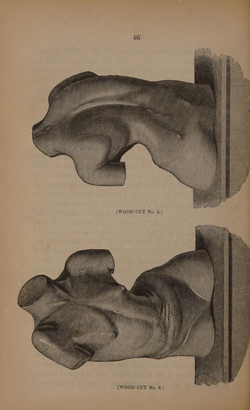 My jj —— = * — = = > ——— SSS = —S=S—=== a= == ——4 —= —= = MATT HA UIA ANNI SSS = WS SSS bien S ——— S = = S SSSa—S[__ S SSS ZY = SS: iS : SS. } 2 SV J ESSN Zé Sse = SS Sw SS Qc — Sc Ss NSN NES : LEN l [WOOD CUT No. 5.} aitha ‘ i 1 MU a MUN
