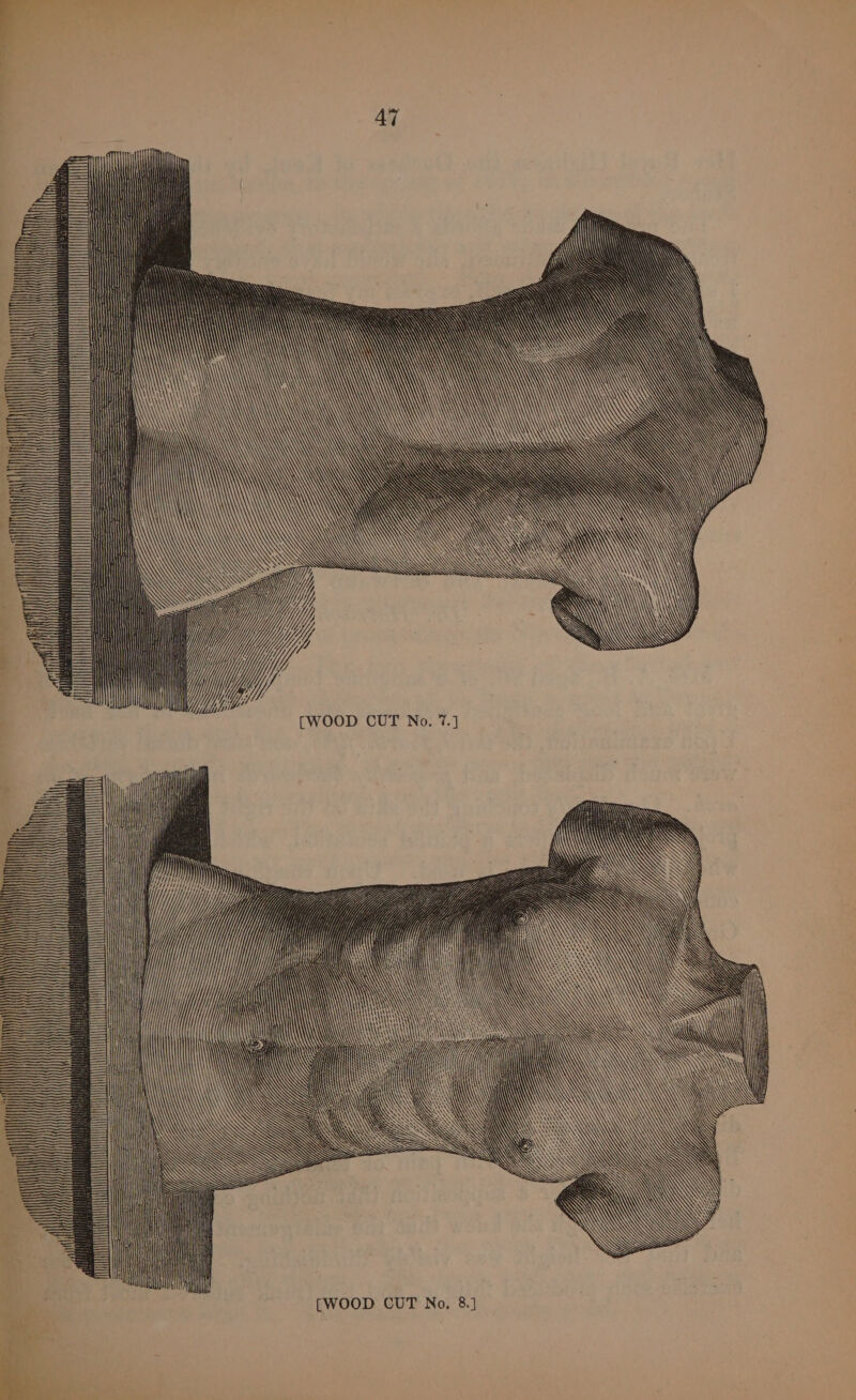 — Za OT fee ——— i INC eee eT oo —— eens = ———————— Wily Y