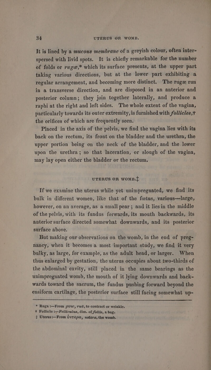 It is lined by a mucous membrane of a greyish colour, often inter- spersed with livid spots. It is chiefly remarkable for the number of folds or rug@,* which its surface presents, at the upper part taking various directions, but at the lower part exhibiting a regular arrangement, and becoming more distinct. The ruge run in a transverse direction, and are disposed in an anterior and posterior column; they join together laterally, and produce a raphi at the right and left sides. The whole extent of the vagina, particularly towards its outer extremity, is furnished with follicles ,+ the orifices of which are frequently seen. Placed in the axis of the pelvis, we find the vagina lies with its back on the rectum, its front on the bladder and the urethra, the upper portion being on the neck of the bladder, and the lower upon the urethra; so that laceration, or slough of the vagina, may lay open either the bladder or the rectum. UTERUS OR woms.{ If we examine the uterus while yet unimpregnated, we find its bulk in different women, like that of the foetus, various—large, however, on an average, as a small pear; and it liesin the middle of the pelvis, with its fundus forwards, its mouth backwards, its anterior surface directed somewhat downwards, and its posterior surface above. But making our observations on the womb, in the end of preg- nancy, when it becomes a most important study, we find it very bulky, as large, for example, as the adult head, or larger. When thus enlarged by gestation, the uterus occupies about two-thirds of the abdominal cavity, still placed in the same bearings as the unimpregnated womb, the mouth of it lying downwards and back- wards toward the sacrum, the fundus pushing forward beyond the ensiform cartilage, the posterior surface still facing somewhat up- * Ruga :—From pvw, rwo, to contract or wrinkle. + Follicle :—Folliculus, dim. of follis, a bag. } Uterus:—From ustepa, ustera, the womb.