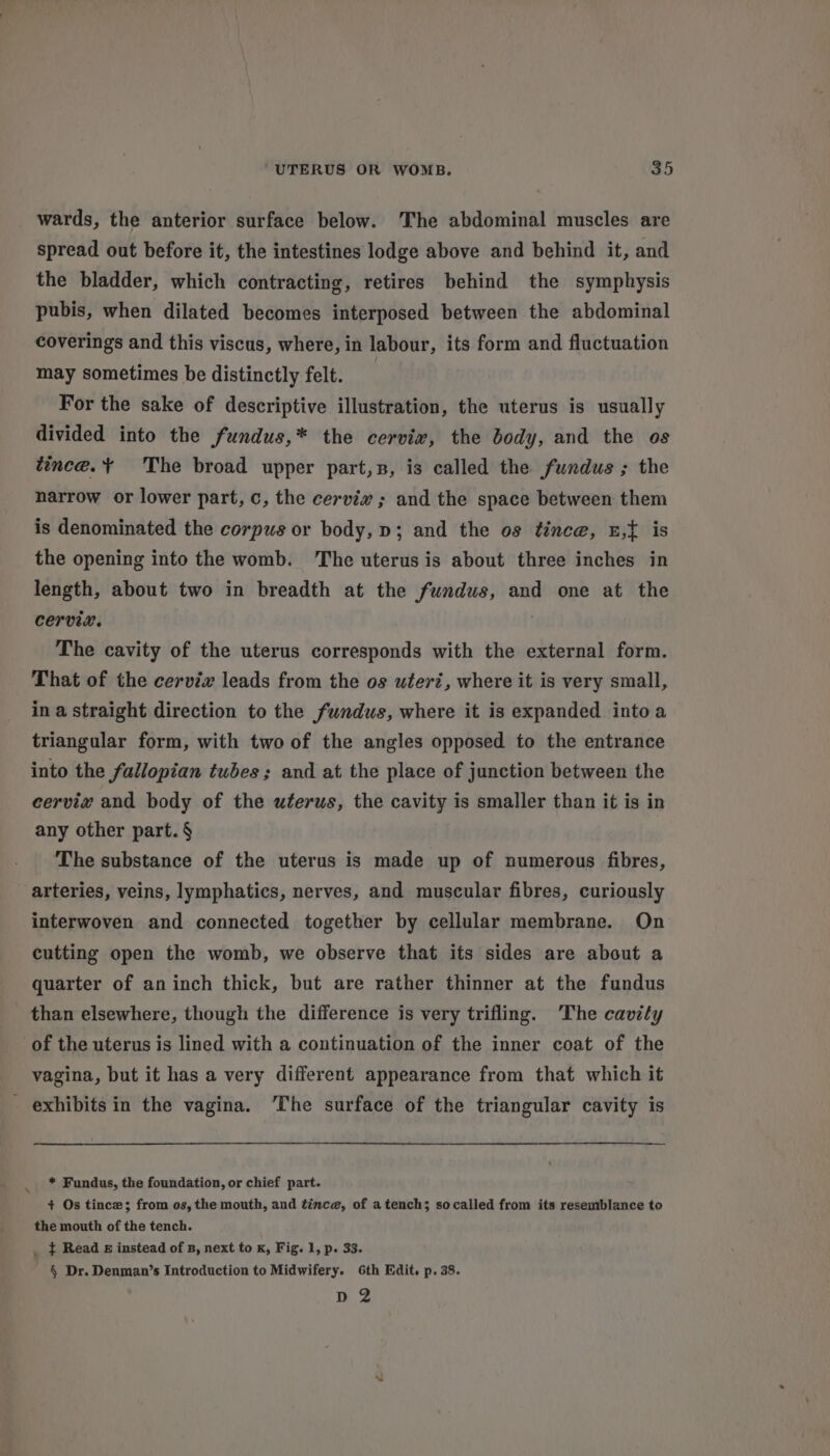 wards, the anterior surface below. The abdominal muscles are spread out before it, the intestines lodge above and behind it, and the bladder, which contracting, retires behind the symphysis pubis, when dilated becomes interposed between the abdominal coverings and this viscus, where, in labour, its form and fluctuation may sometimes be distinctly felt. For the sake of descriptive illustration, the uterus is usually divided into the fundus,* the cervix, the body, and the os tince.+ The broad upper part,n, is called the fundus ; the narrow or lower part, c, the cervix ; and the space between them is denominated the corpus or body, p; and the os tince, z,{ is the opening into the womb. The uterus is about three inches in length, about two in breadth at the fundus, and one at the cervix. The cavity of the uterus corresponds with the external form. That of the cervix leads from the os uteri, where it is very small, in a straight direction to the fundus, where it is expanded intoa triangular form, with two of the angles opposed to the entrance into the fallopian tubes; and at the place of junction between the cervix and body of the uterus, the cavity is smaller than it is in any other part. § The substance of the uterus is made up of numerous fibres, arteries, veins, lymphatics, nerves, and muscular fibres, curiously interwoven and connected together by cellular membrane. On cutting open the womb, we observe that its sides are about a quarter of aninch thick, but are rather thinner at the fundus than elsewhere, though the difference is very trifling. The cavity of the uterus is lined with a continuation of the inner coat of the vagina, but it has a very different appearance from that which it exhibits in the vagina. The surface of the triangular cavity is * Fundus, the foundation, or chief part. + Os tince; from os, the mouth, and tince, of a tench; socalled from its resemblance to the mouth of the tench. . } Read &amp; instead of 8, next to x, Fig. 1, p. 33. § Dr. Denman’s Introduction to Midwifery. 6th Edit, p. 38. pd 2